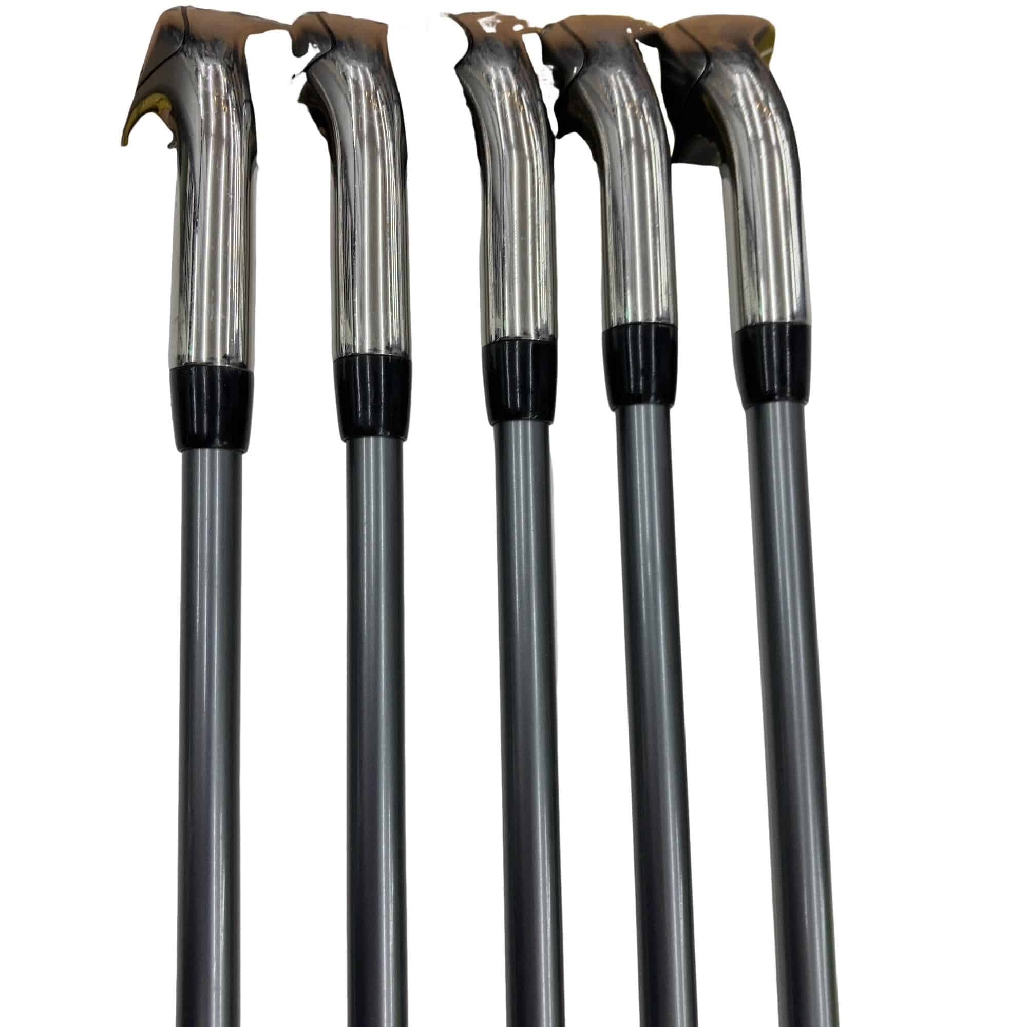 �q�n�f�t�d�@�r�s�@�l�`�w�@�@�T�r�i���{���F�T�{�Z�b�g�j