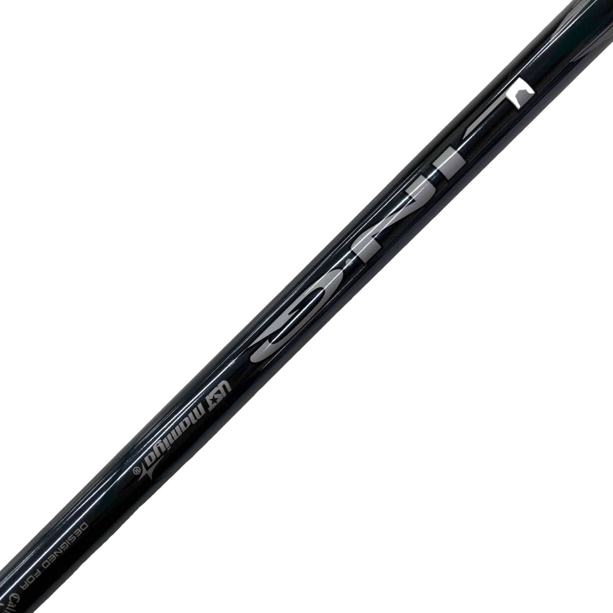 �d�k�x�s�d�@�w�@�t�U�@���f�B�[�X