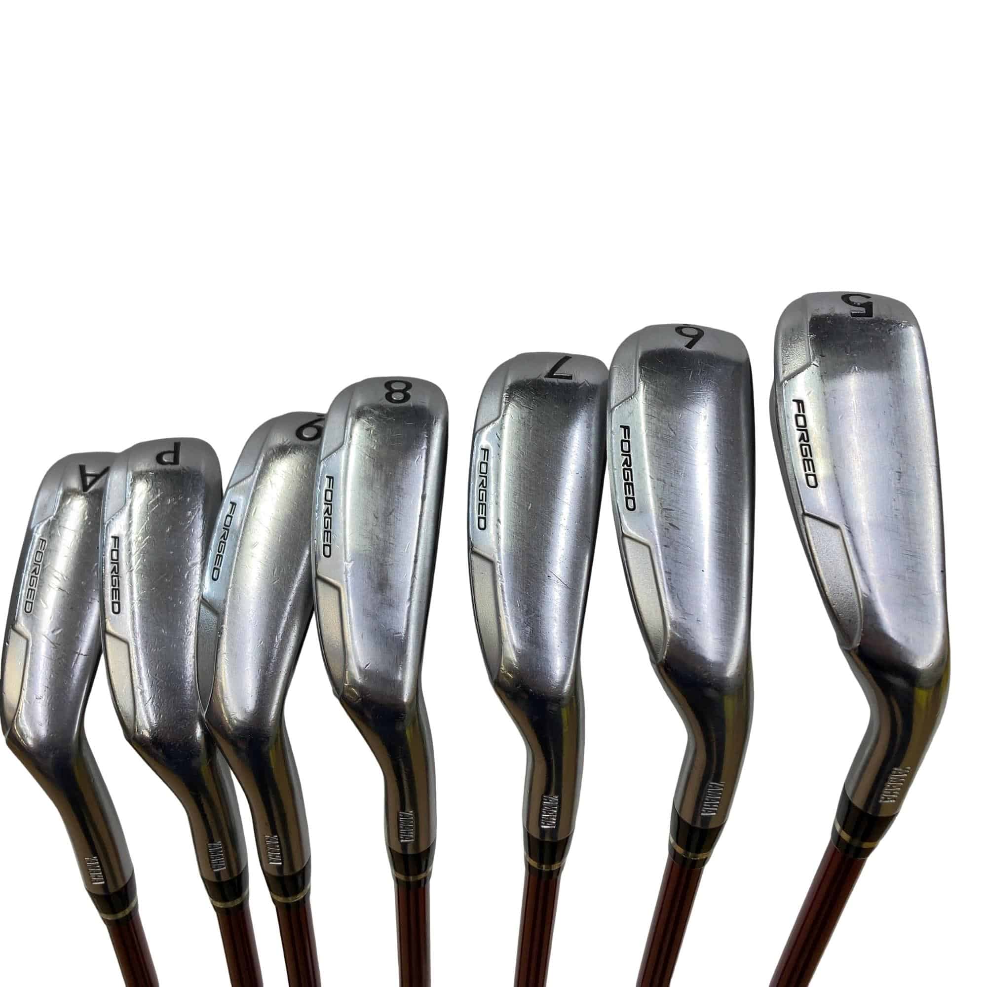 �������������@�q�l�w�@�t�c�{�Q�@�V�r�i���{���F�V�{�Z�b�g�j