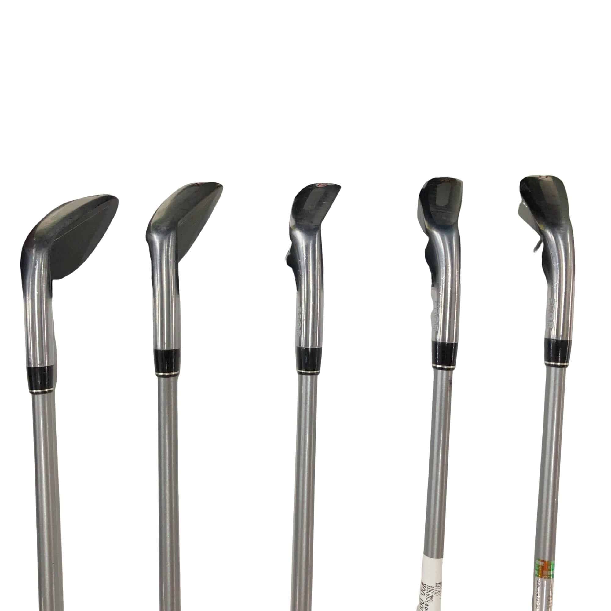 �q�r�@�`�^���t�F�[�X�@�T�r�i���{���F�T�{�Z�b�g�j