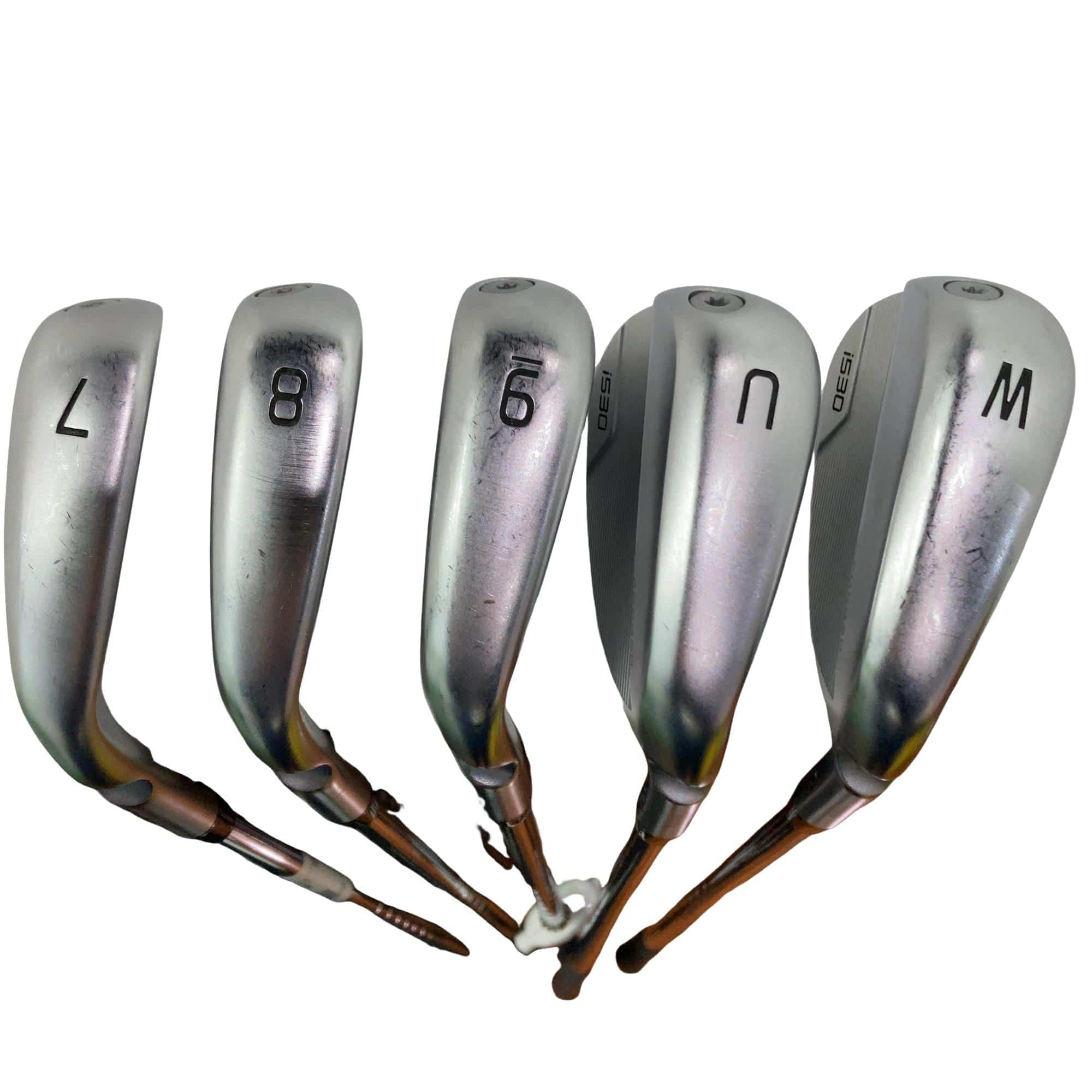 ���T�R�O�@�T�r�i���{���F�T�{�Z�b�g�j