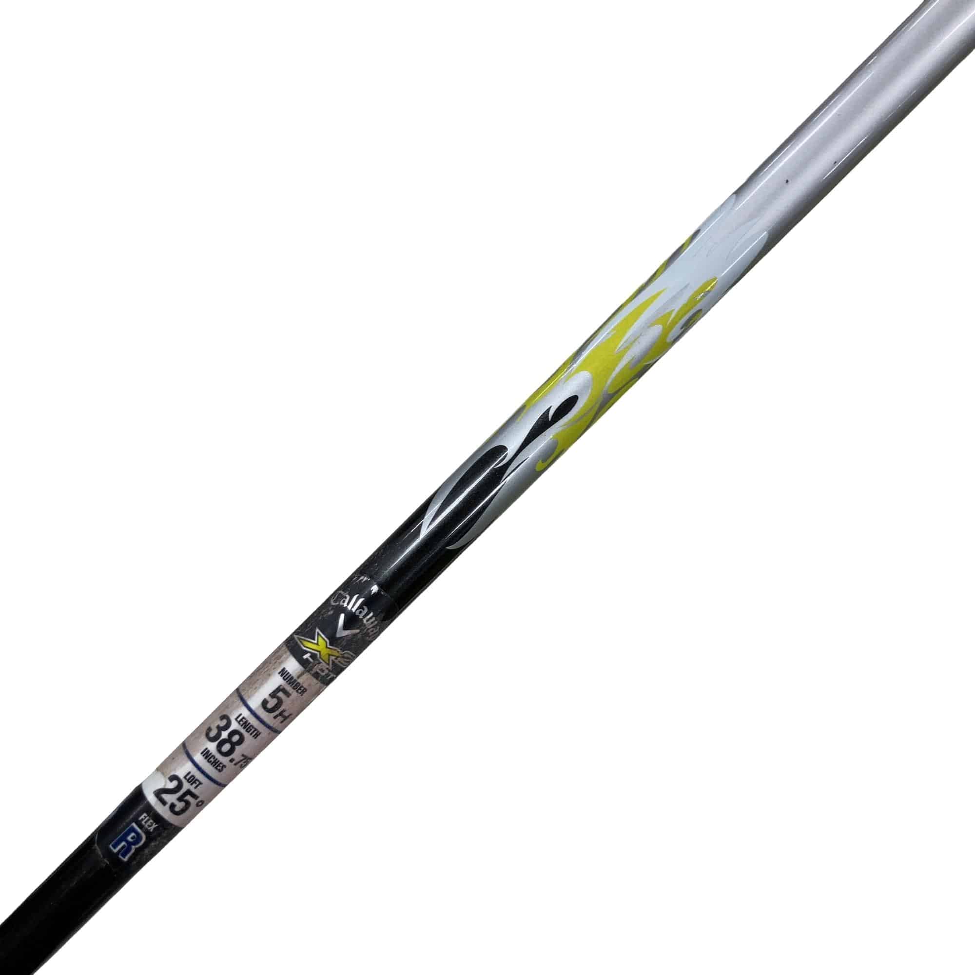 �w�Q�@�g�n�s�@�t�T