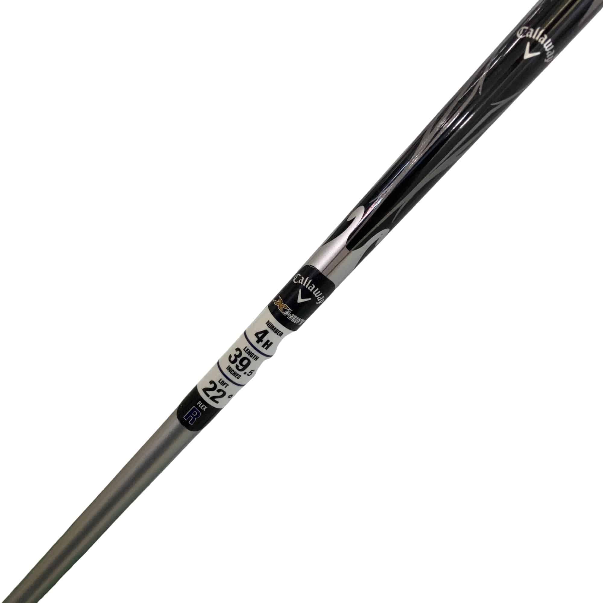 �w�@�g�n�s�@�t�S