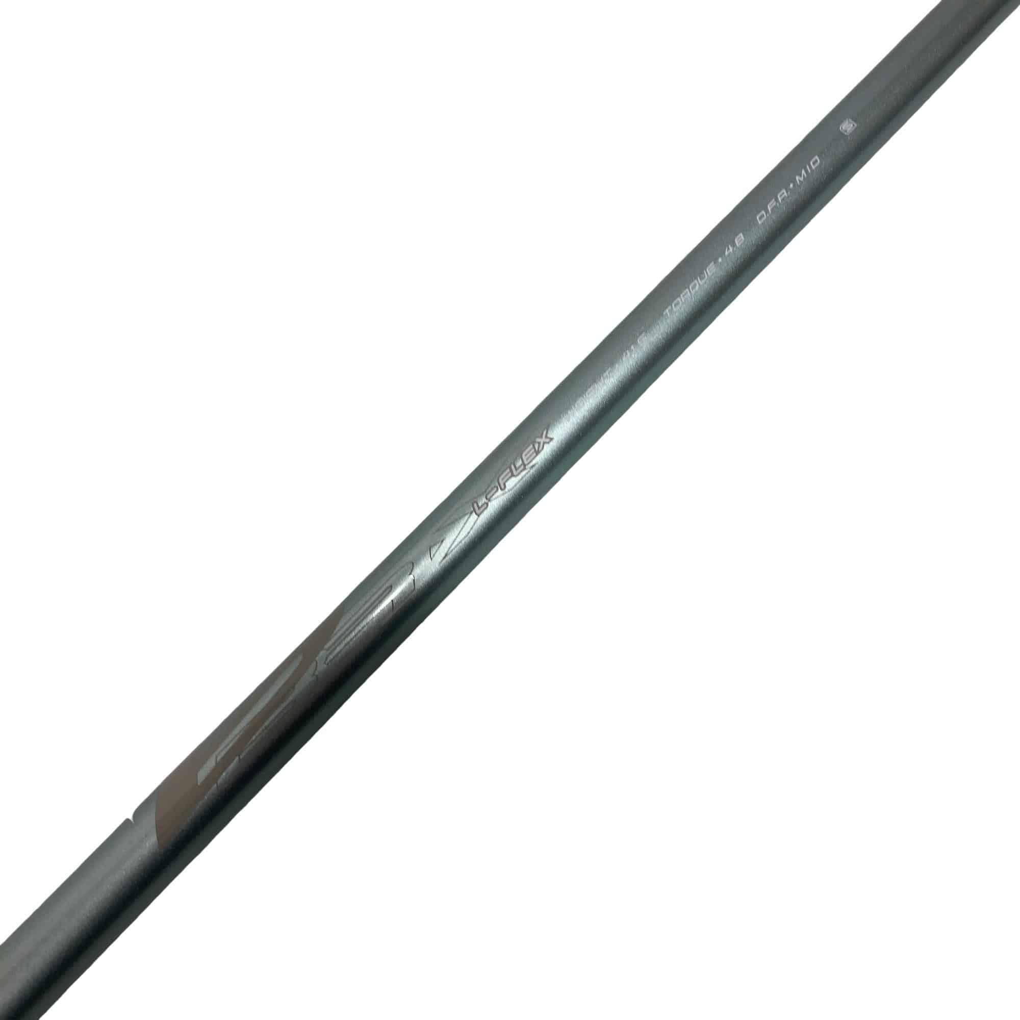 �a�q�|�w�@�t�T�@���f�B�[�X