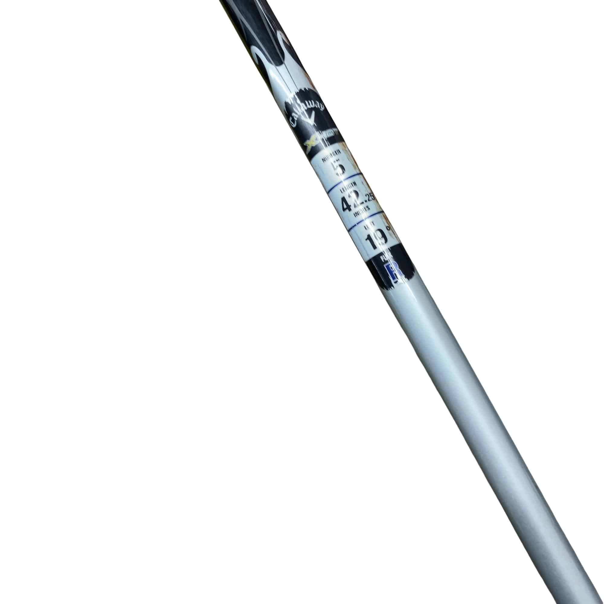 �w�@�g�n�s�@�@�T�v