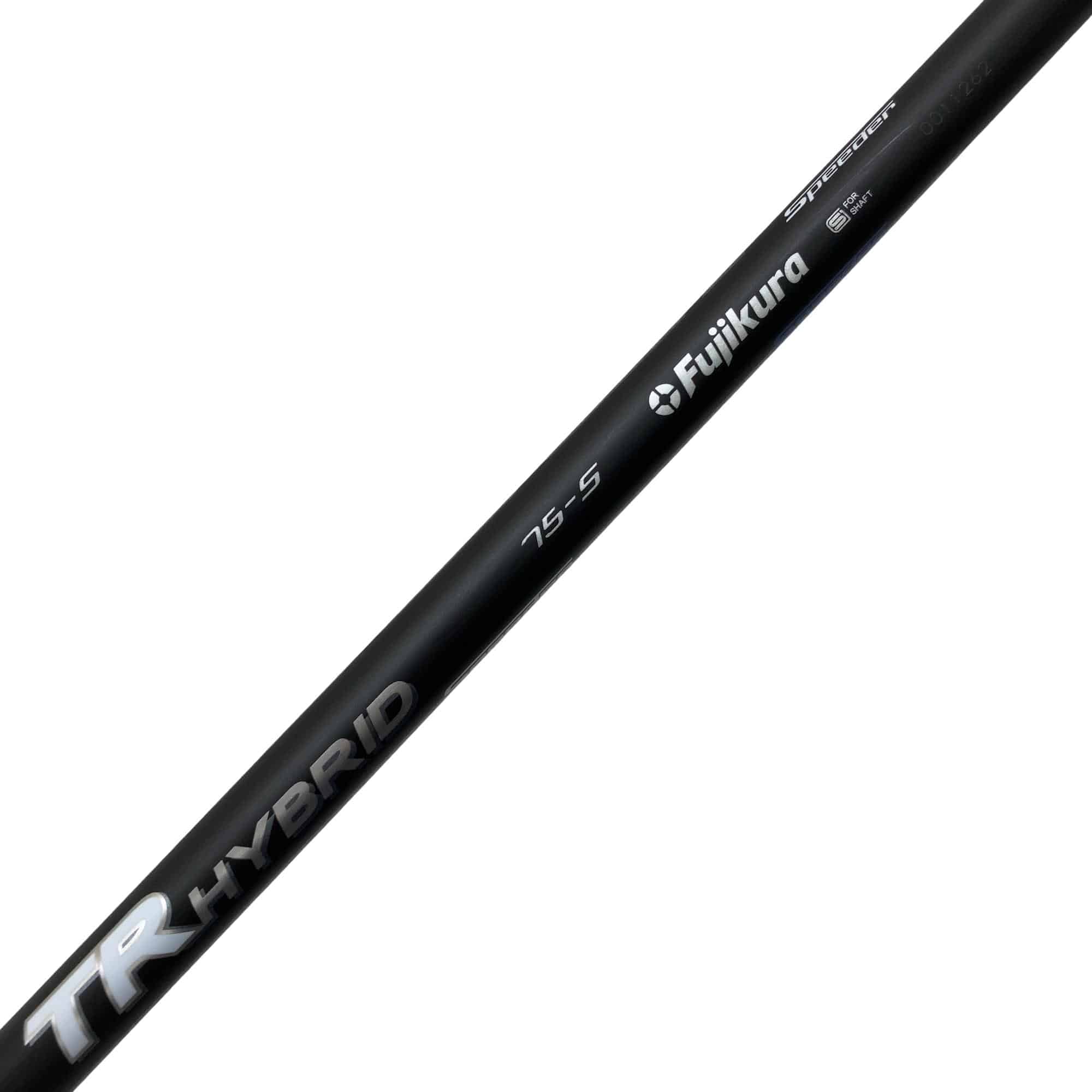 �p���R�T�@�t�T