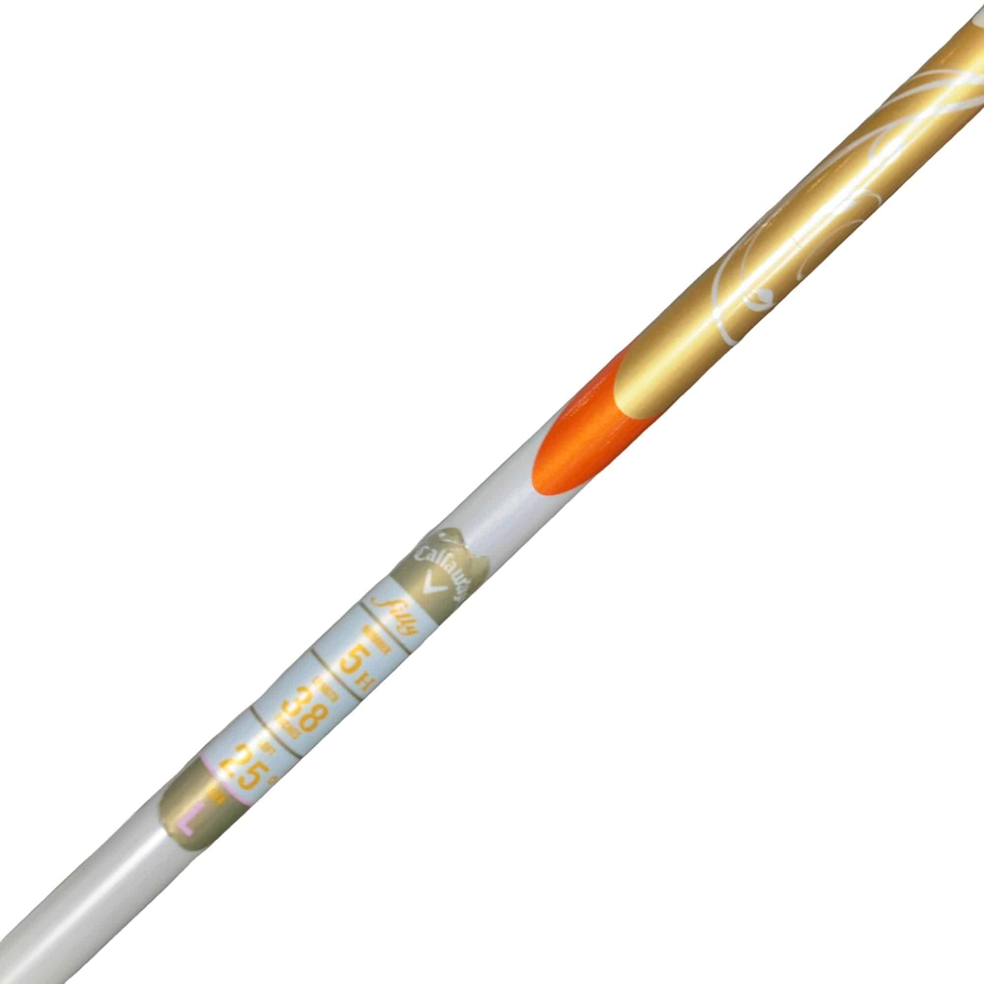 �����������i�Q�O�P�T�j�@�T�g�@���f�B�[�X