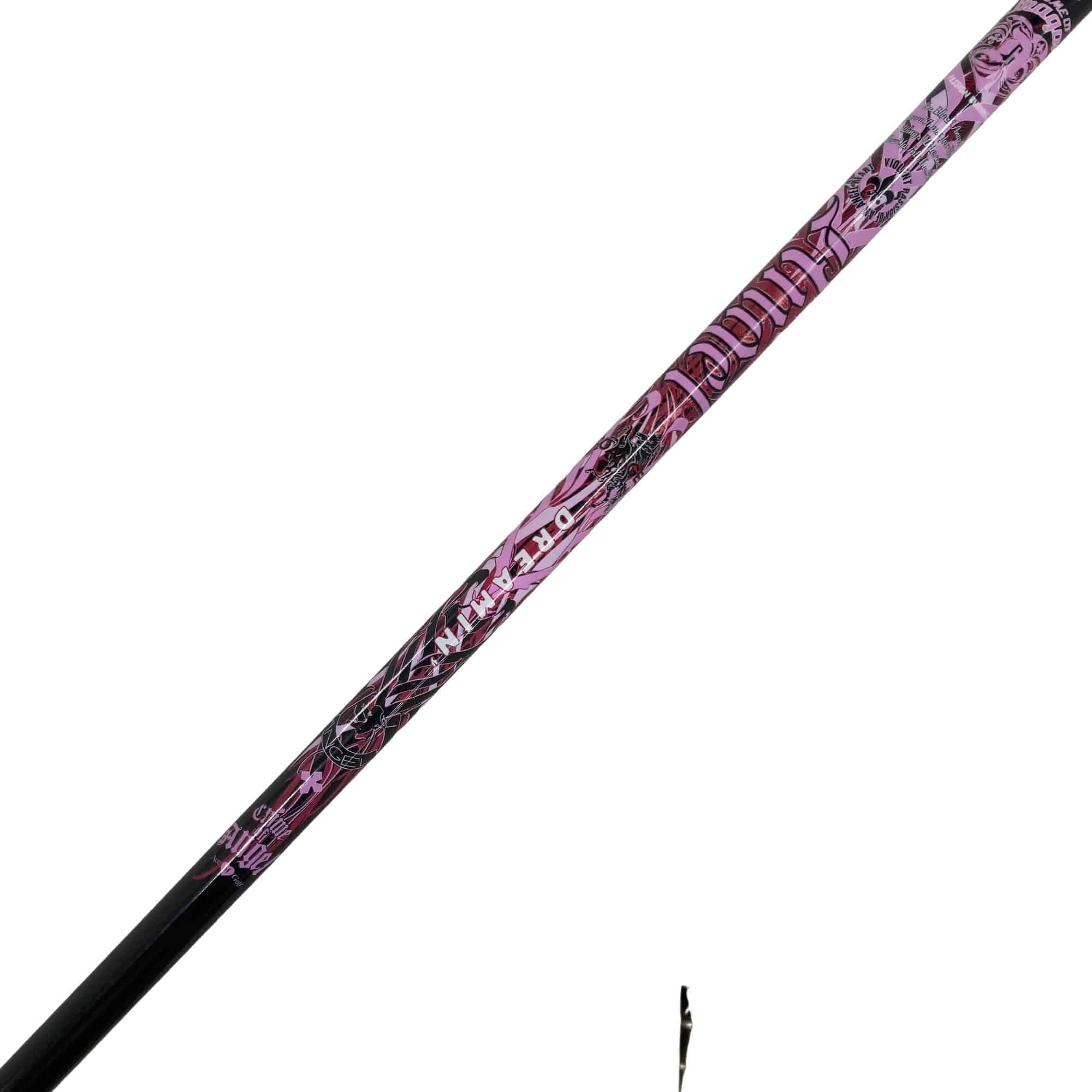 �p���P�O�@�T�v