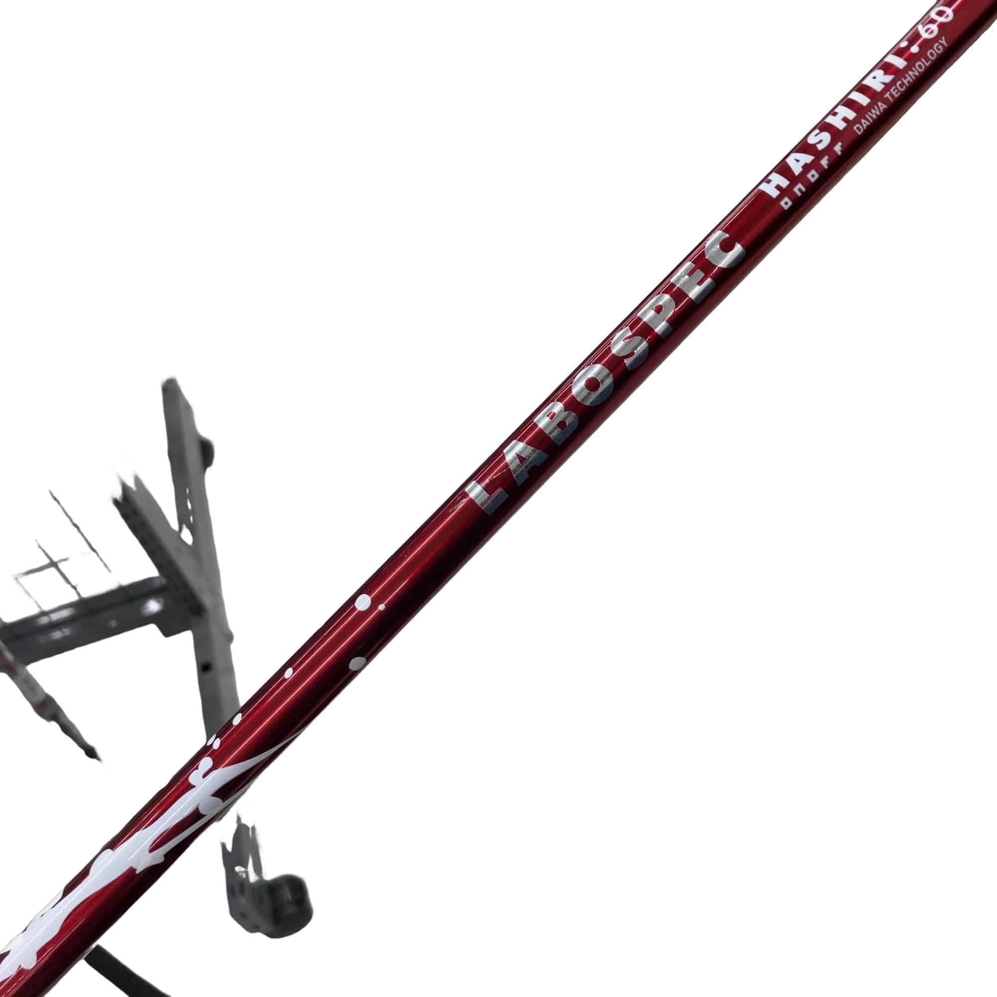 �n�m�n�e�e�i�Q�O�P�S�j�@�P�O°