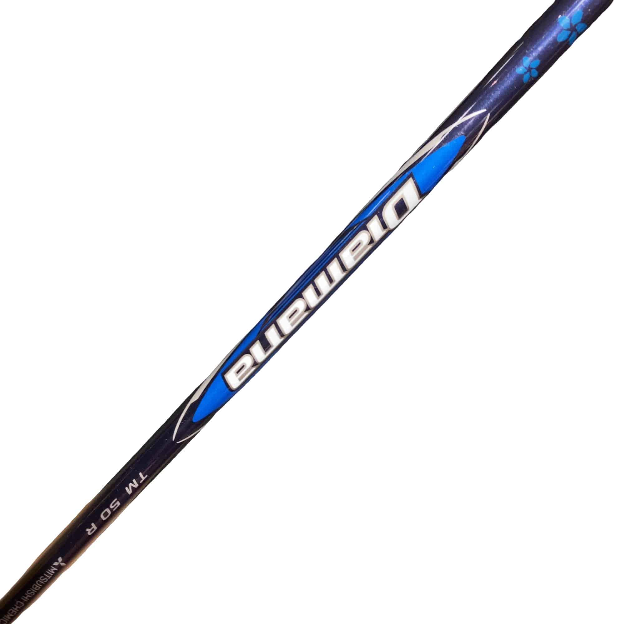 �p���P�O�@�T�v