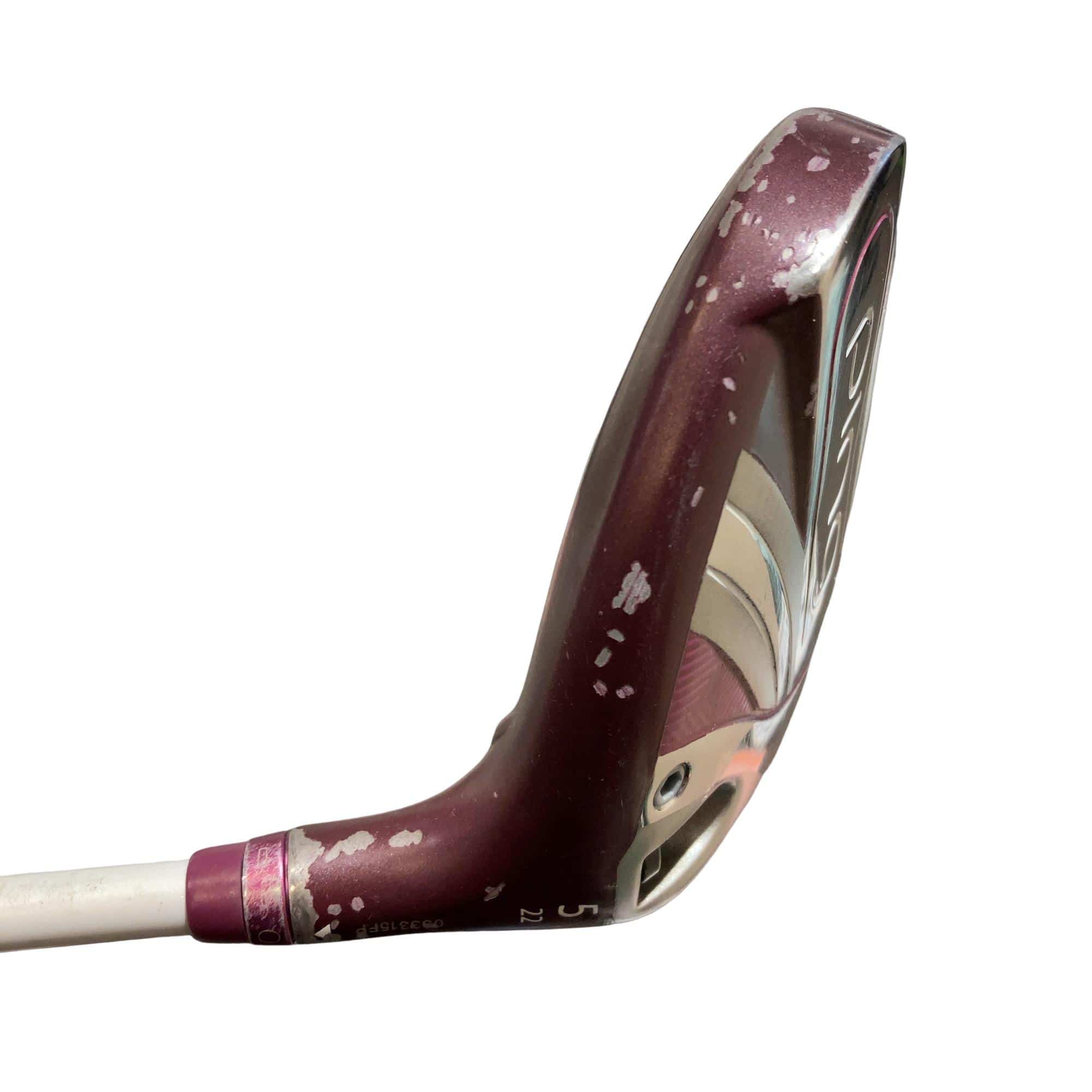 �f�@�k���Q�@�T�v�@���f�B�[�X