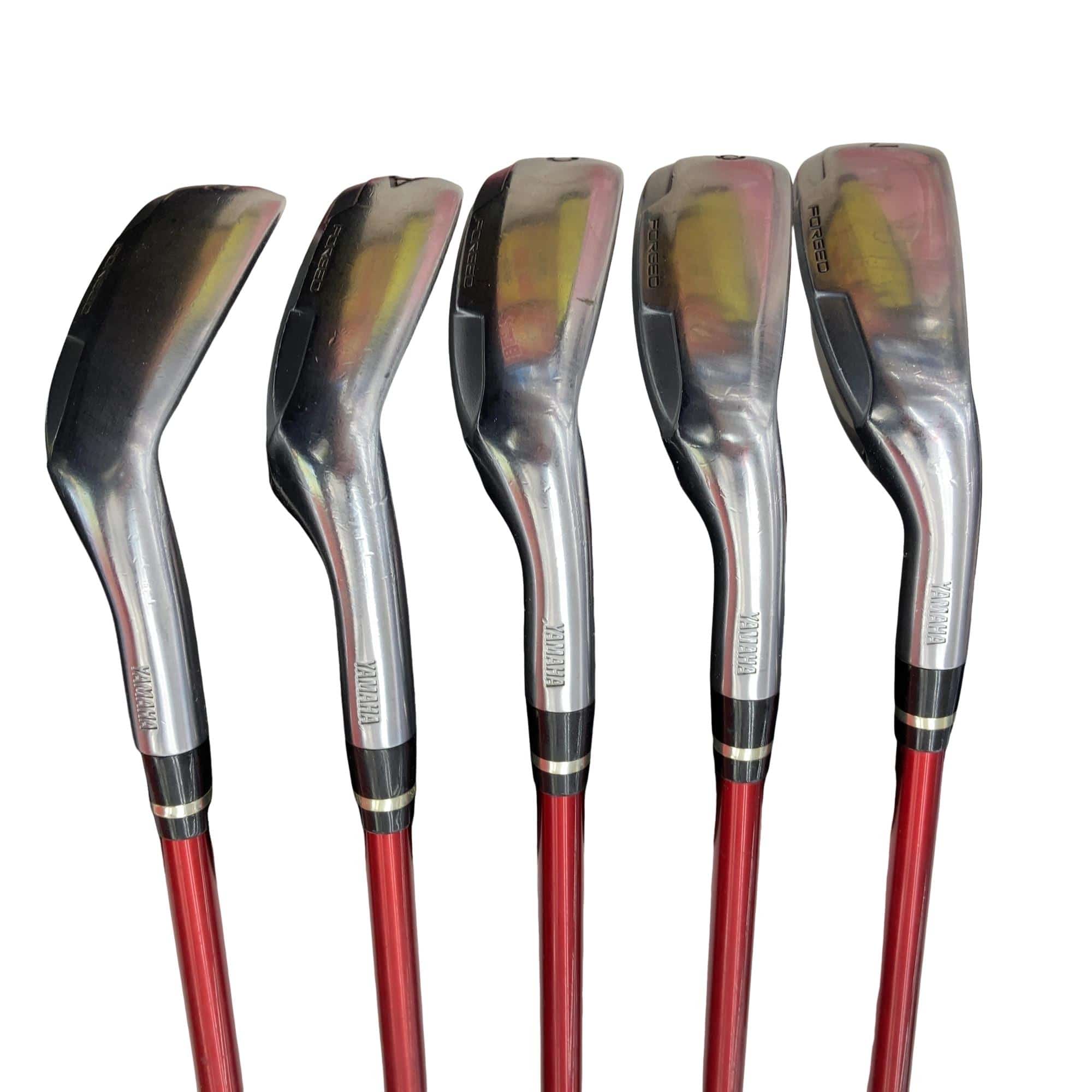 �������������@�q�l�w�@�t�c�{�Q�@�V�r�i���{���F�T�{�Z�b�g�j