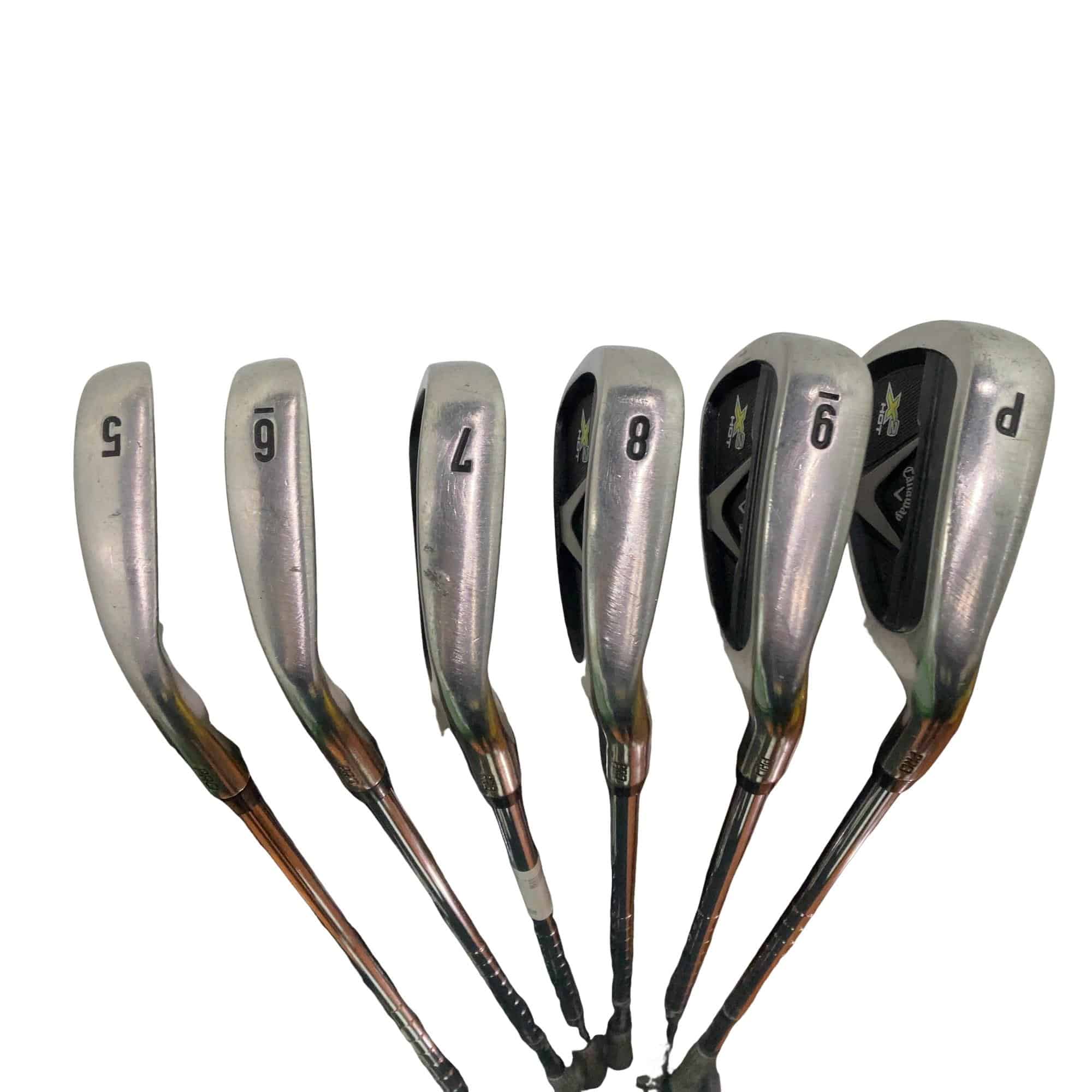 �w�Q�@�g�n�s�@�o�q�n�@�U�r�i���{���F�U�{�Z�b�g�j