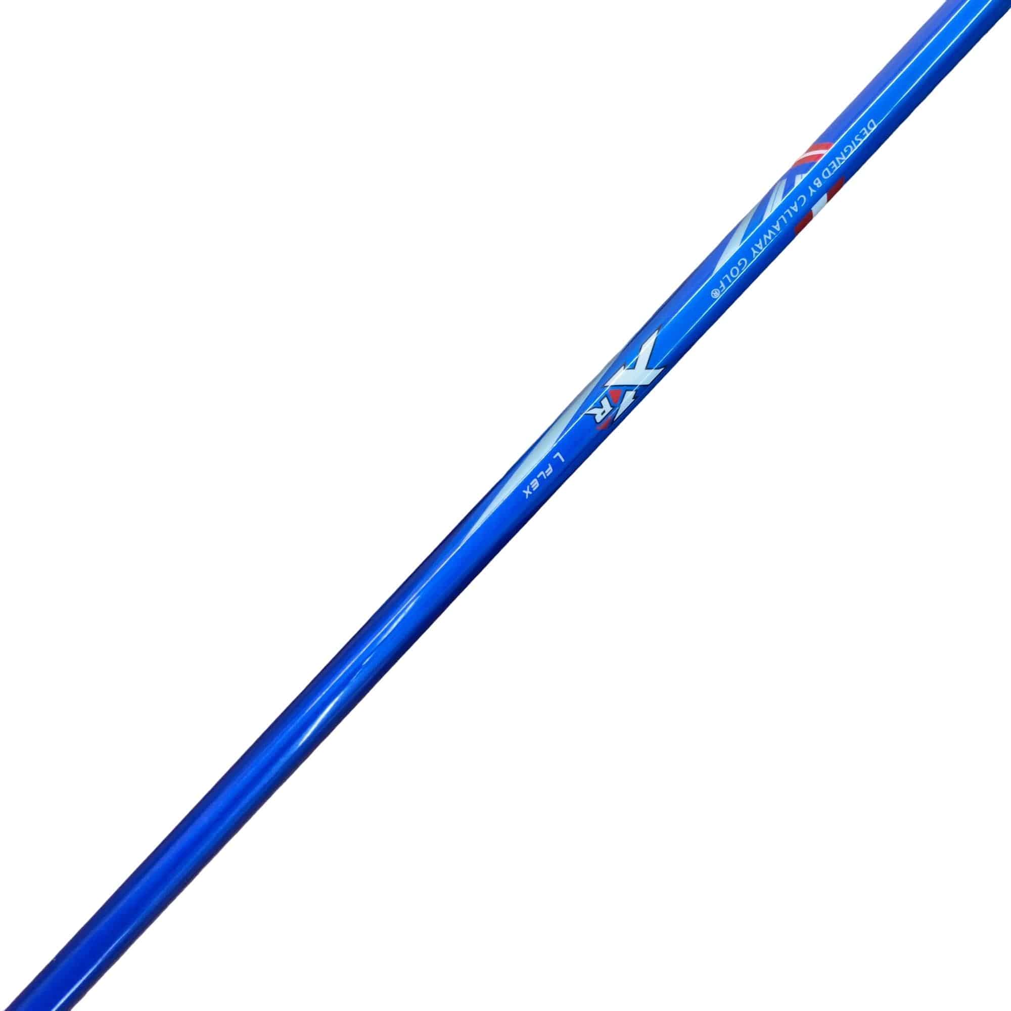 �w�q�@�t�T�@���f�B�[�X