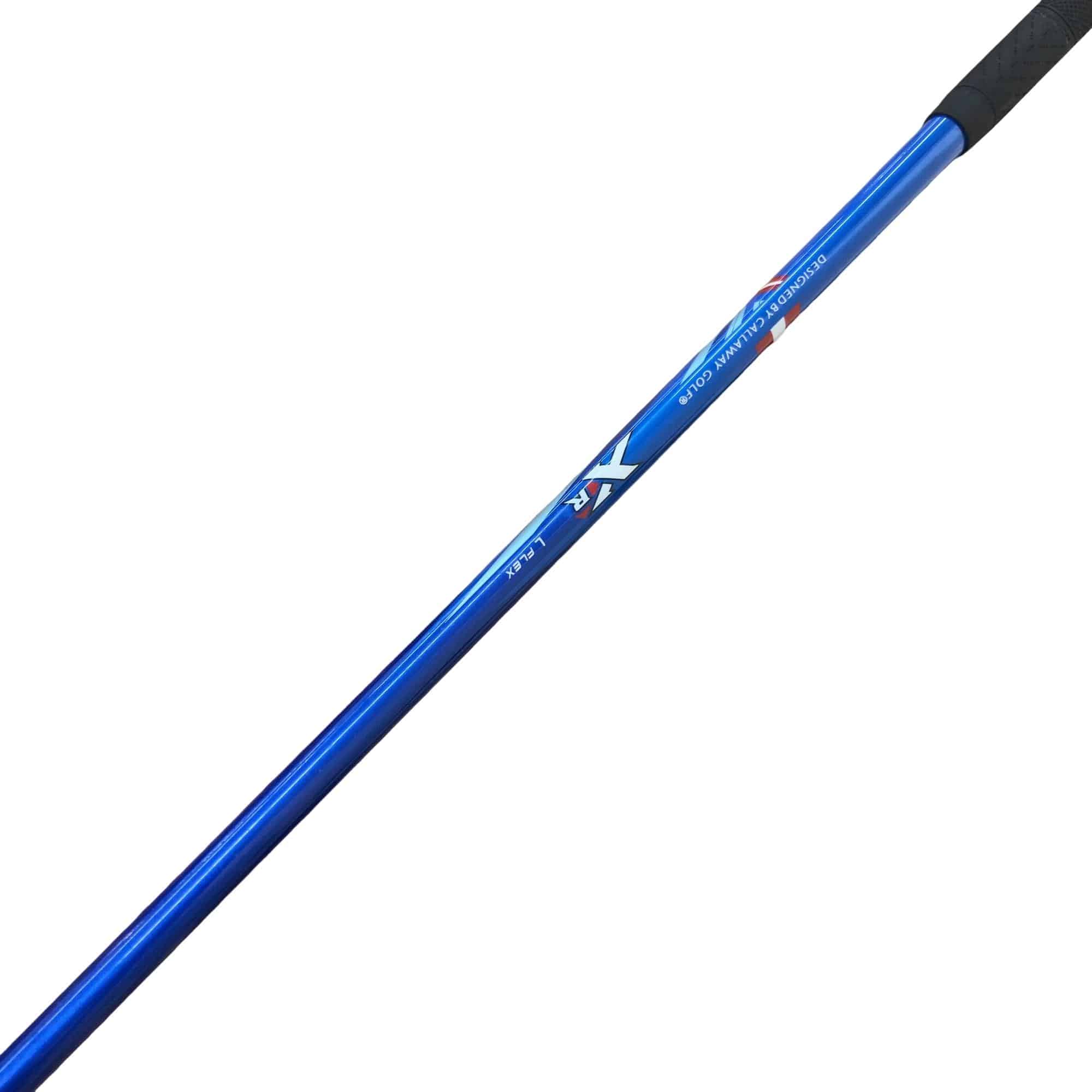 �w�q�@�t�U�@���f�B�[�X