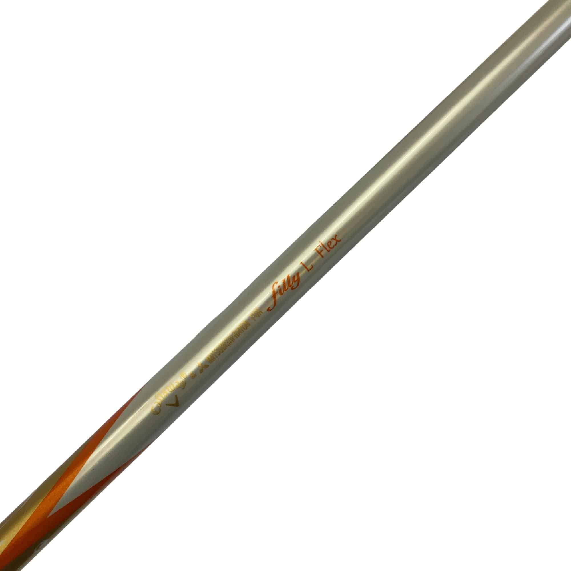 �����������i�Q�O�P�T�j�@�T�g�@���f�B�[�X