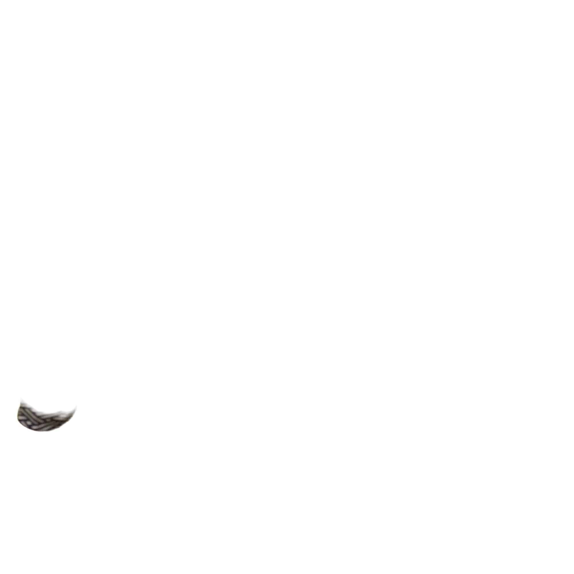 �b�����������@�p�@�t�S