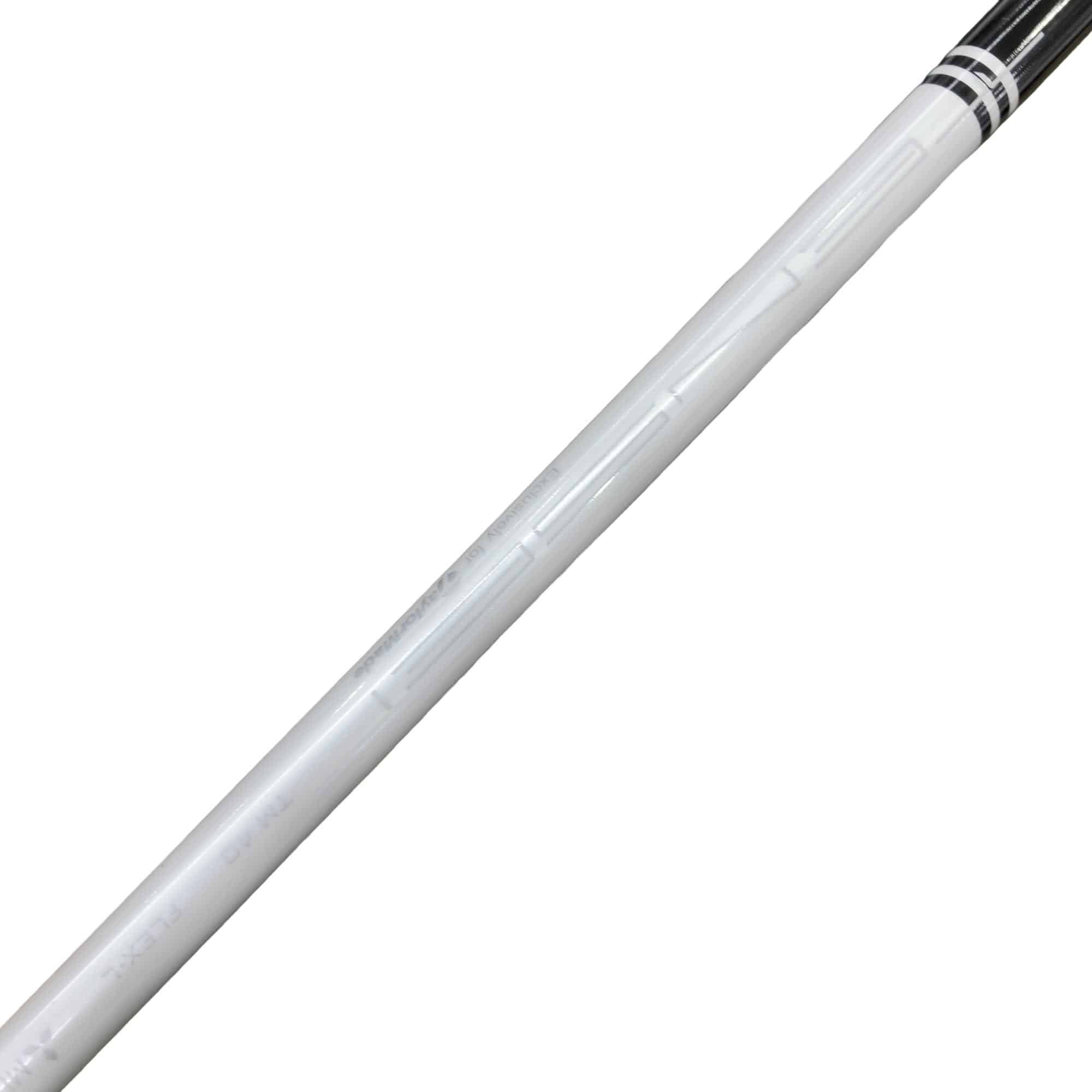 �r�h�l�@�l�`�w�@�@�T�r�@���f�B�[�X�i���{���F�S�{�Z�b�g�j