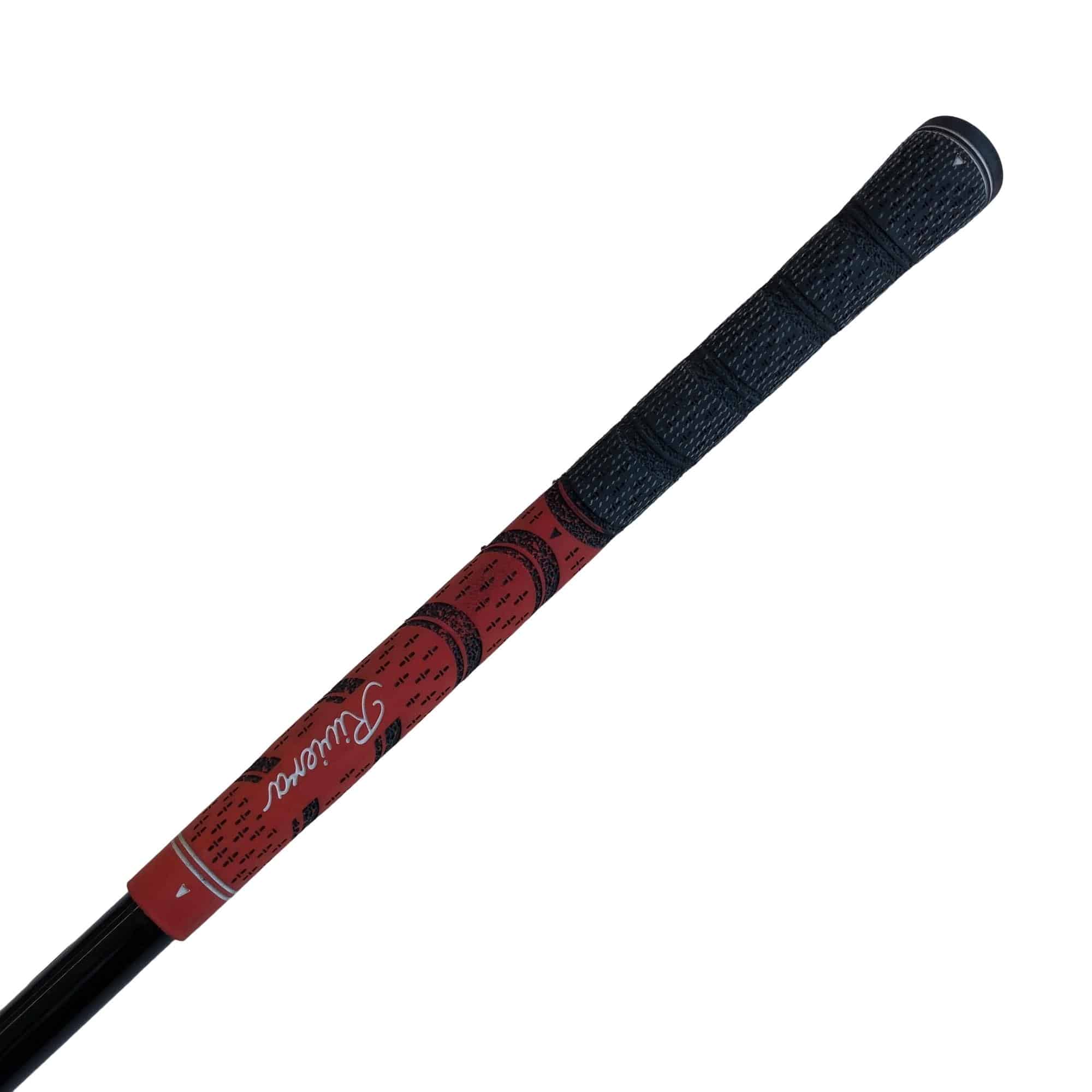 �p���P�O�@�T�v