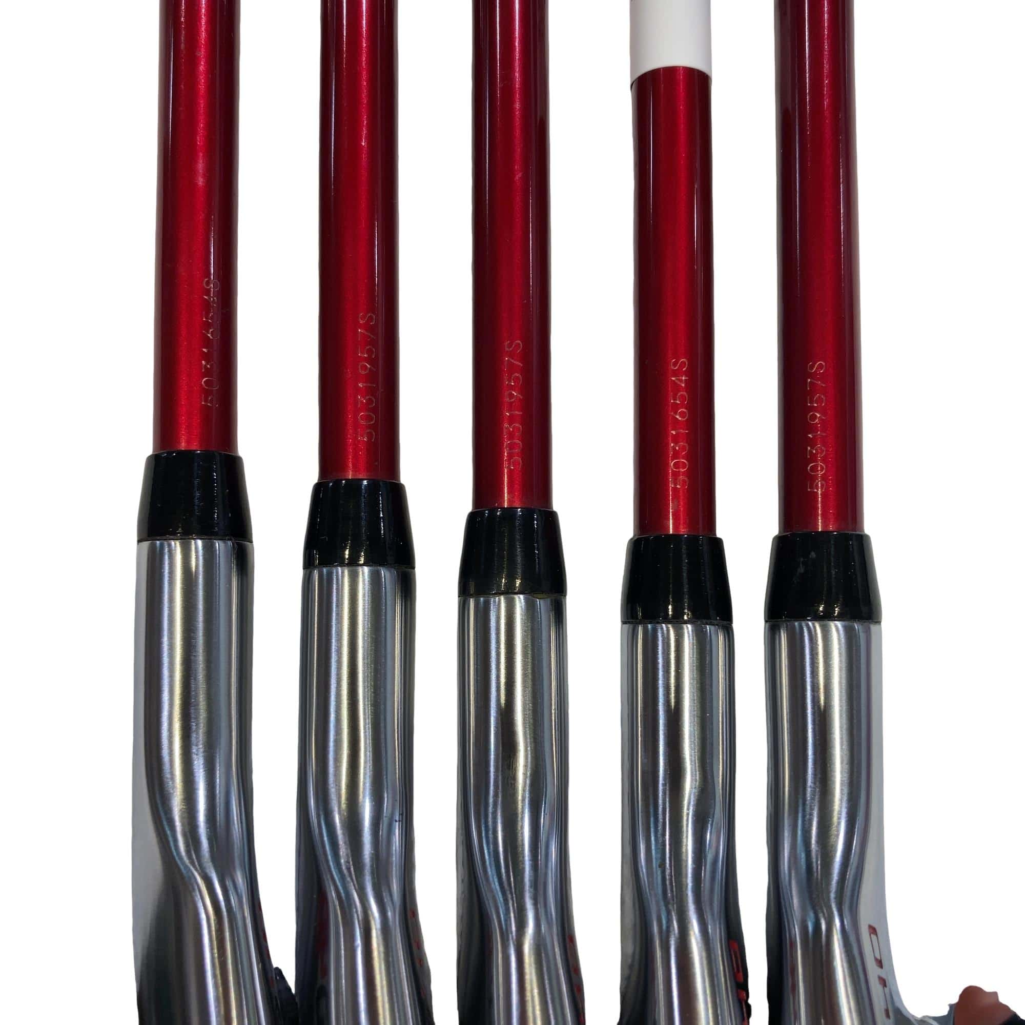 �q�l�w�@�u�c�S�O�@�T�r�i���{���F�T�{�Z�b�g�j