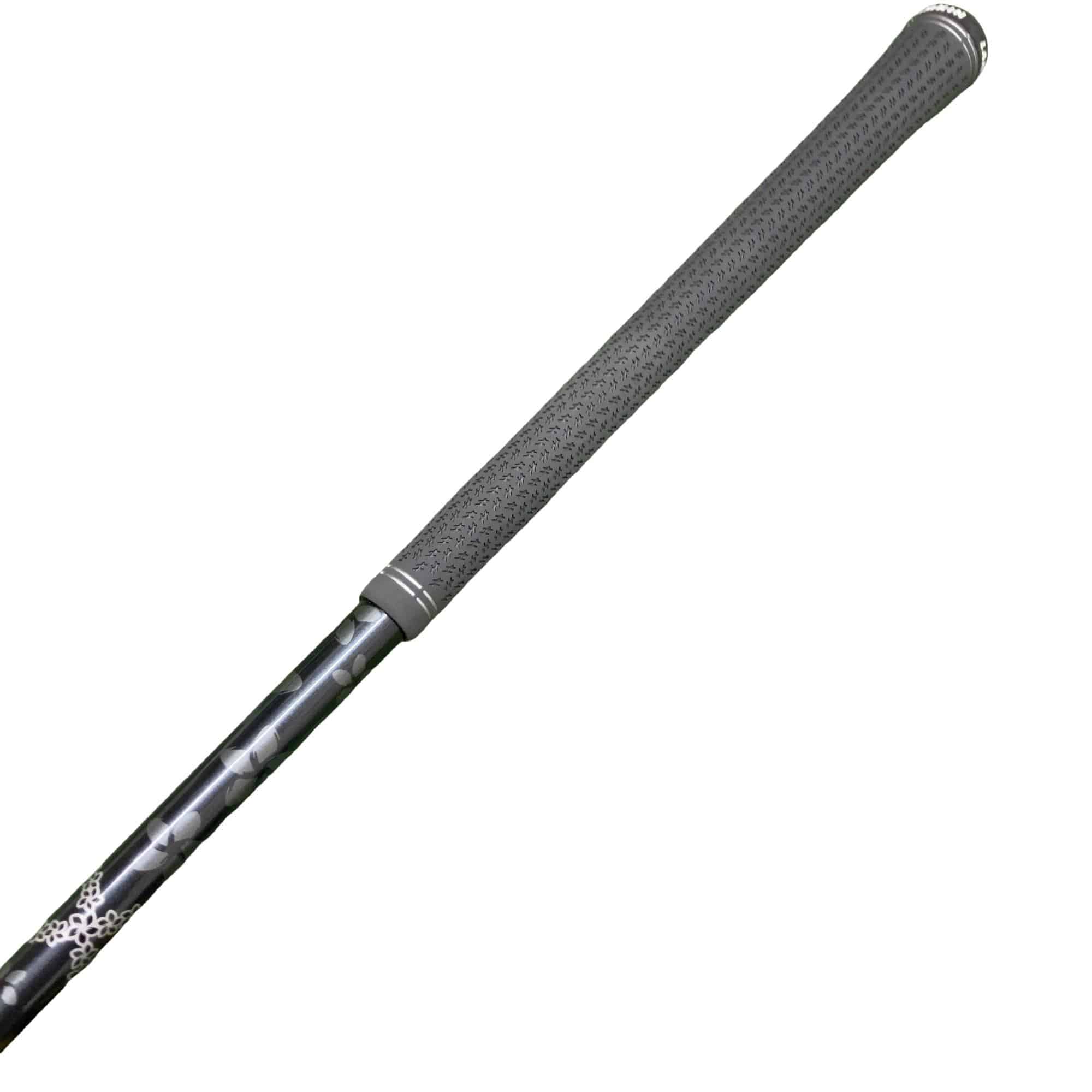 �p���R�T�@�t�S