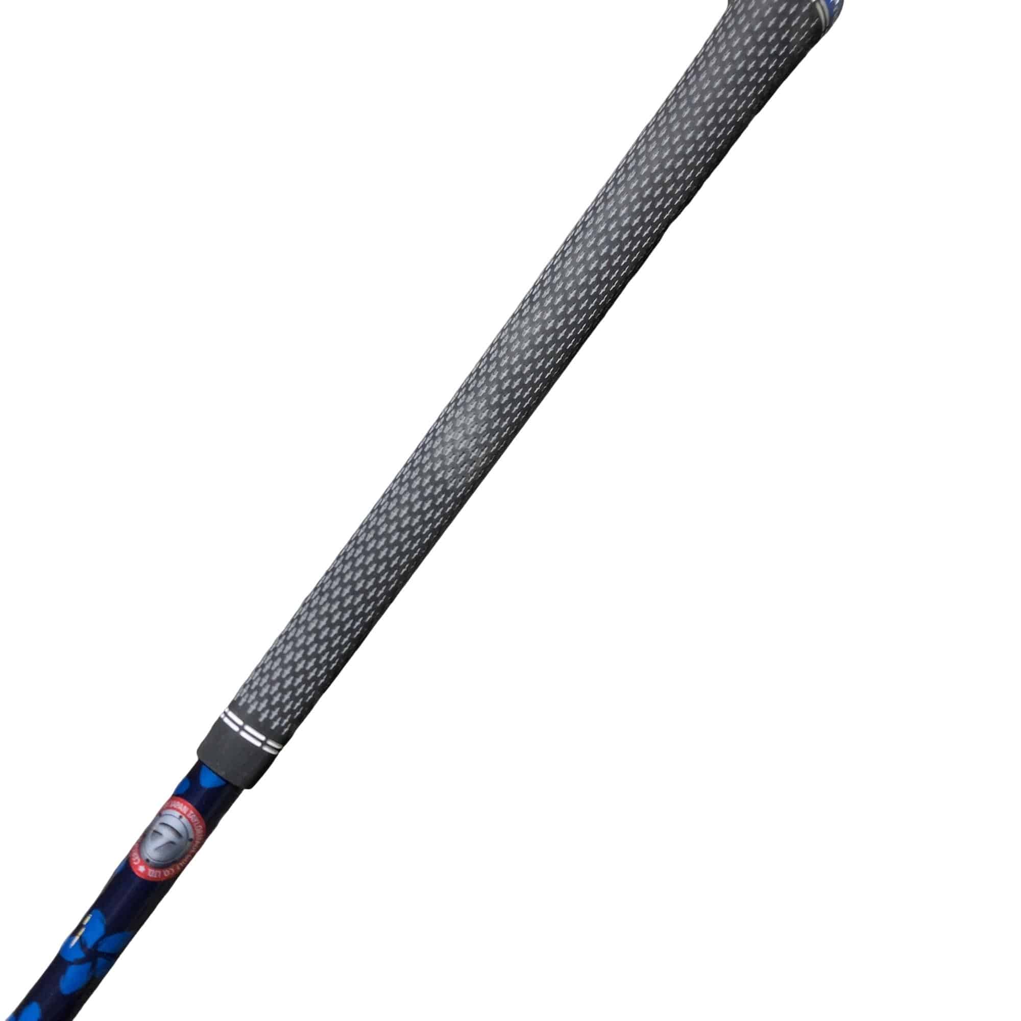 �p���P�O�@�V�v