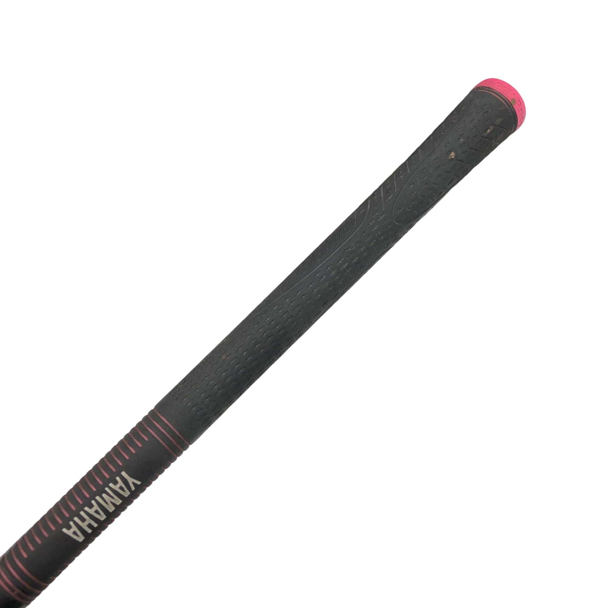 �������������@�q�l�w�@�t�T�{�@���f�B�[�X