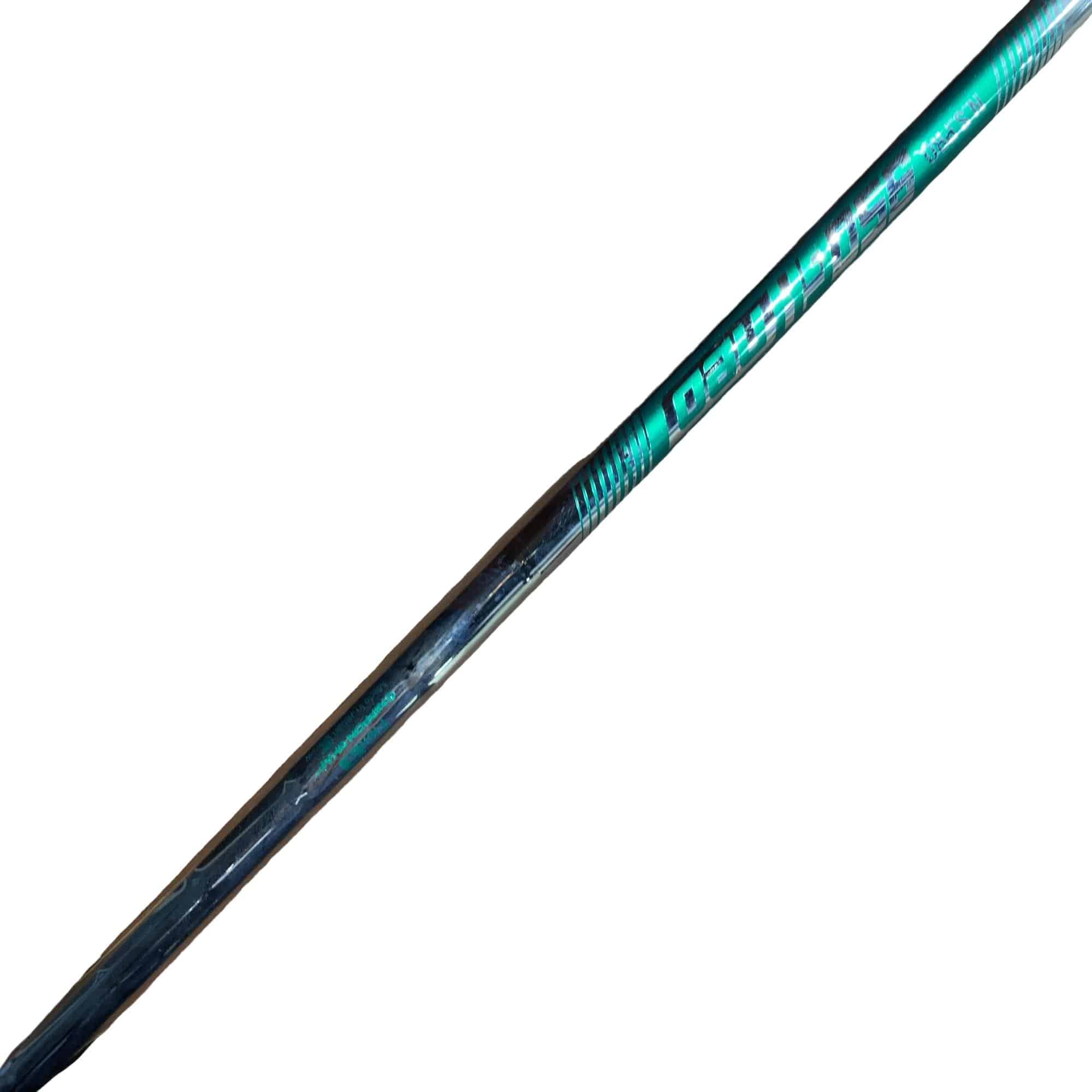 ���T�R�O�@�T�r�i���{���F�T�{�Z�b�g�j