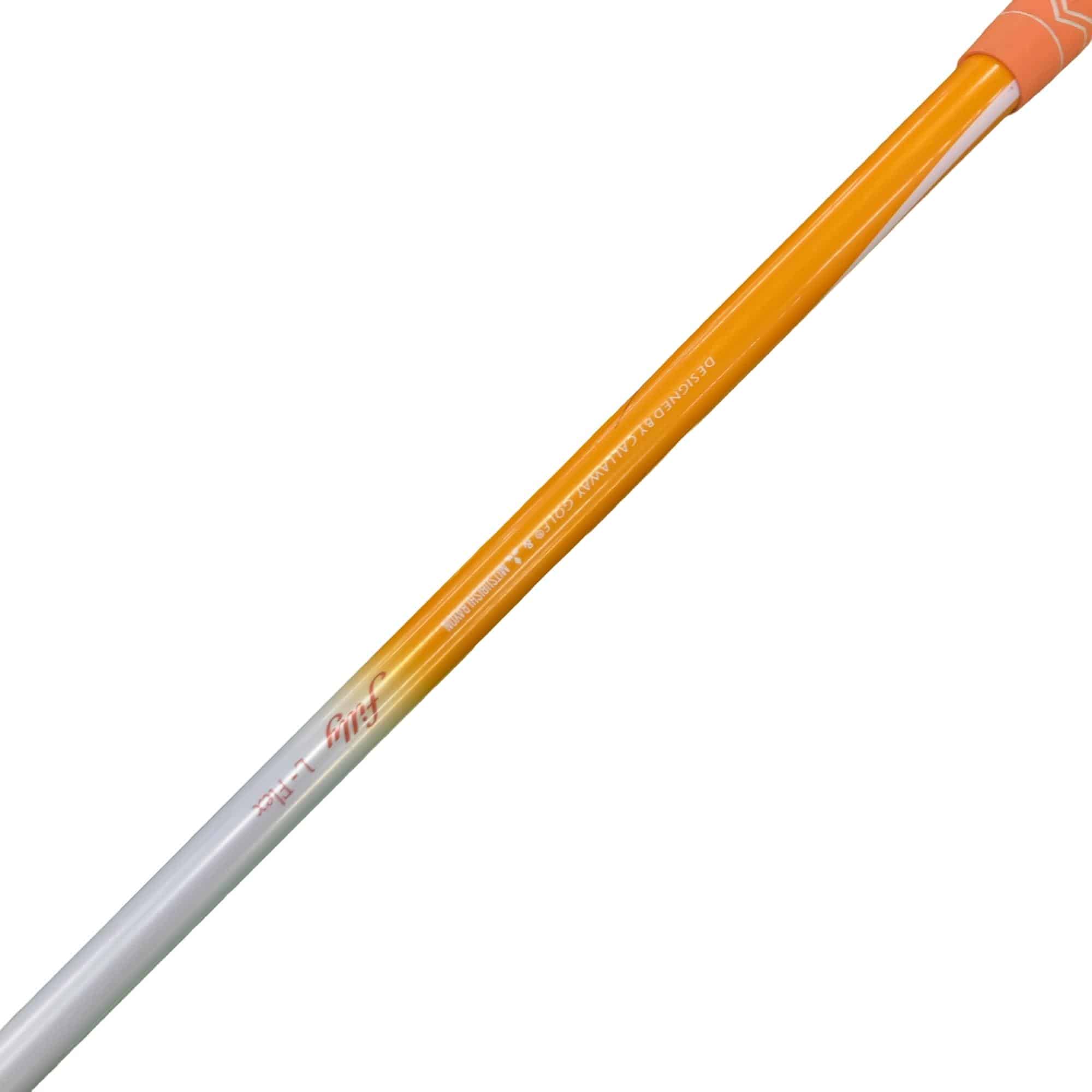 �����������@�V�r�@���f�B�[�X�i���{���F�U�{�Z�b�g�j