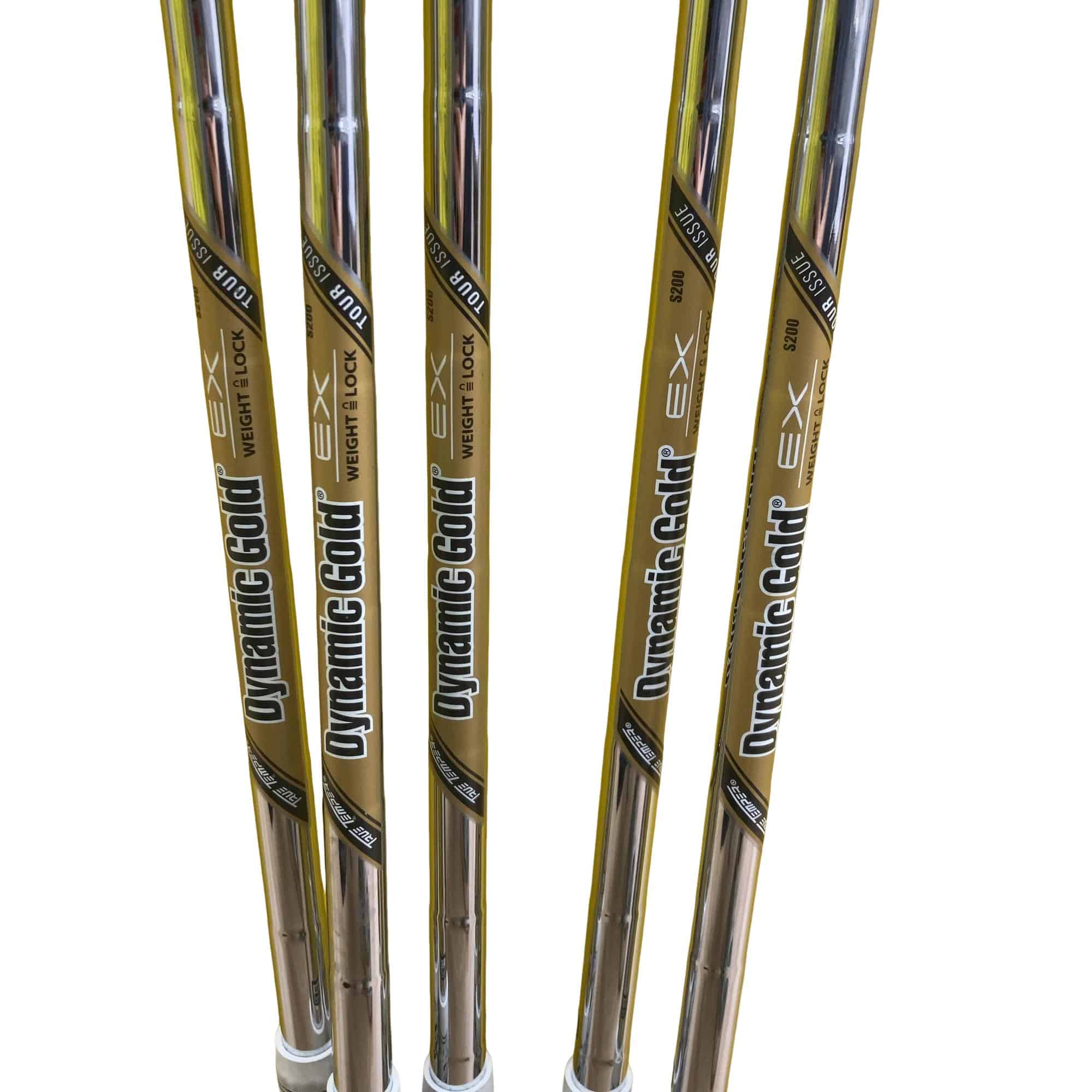 ���Q�S�O�@�T�r�@���t�e�B�i���{���F�T�{�Z�b�g�j