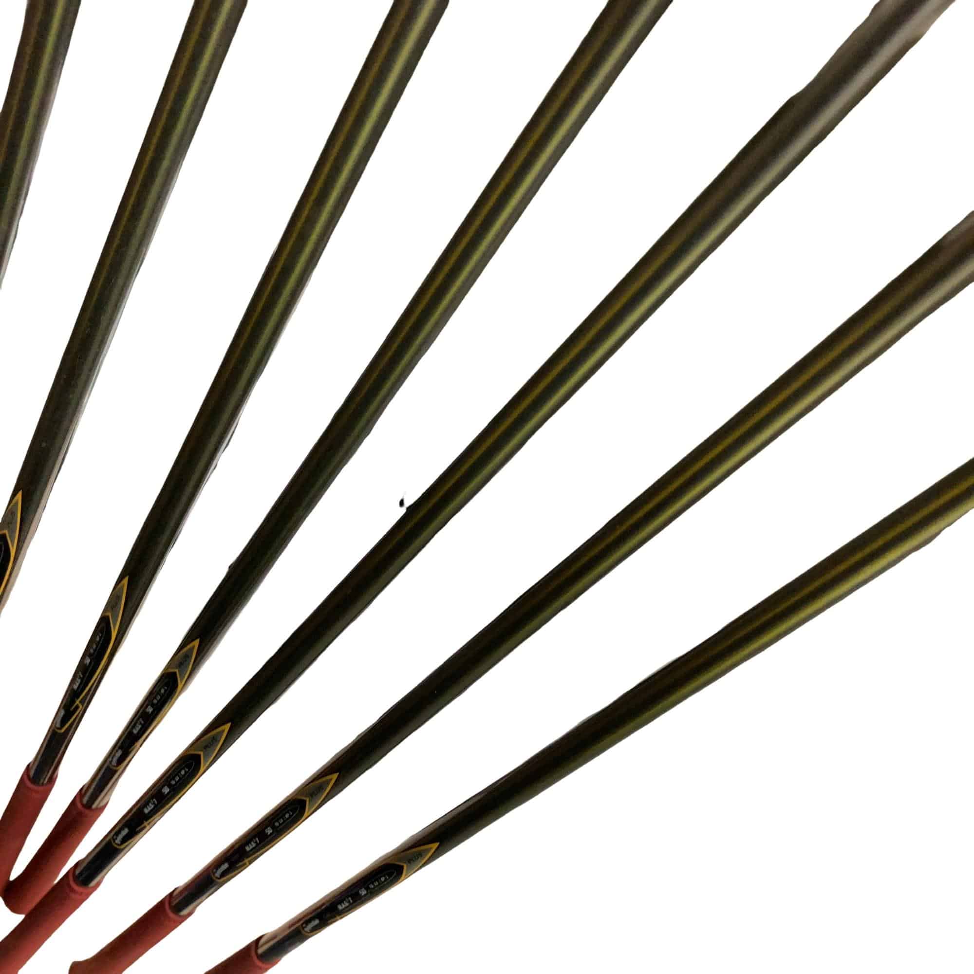 ���V�@�w�q�@�@�W�r�i���{���F�V�{�Z�b�g�j