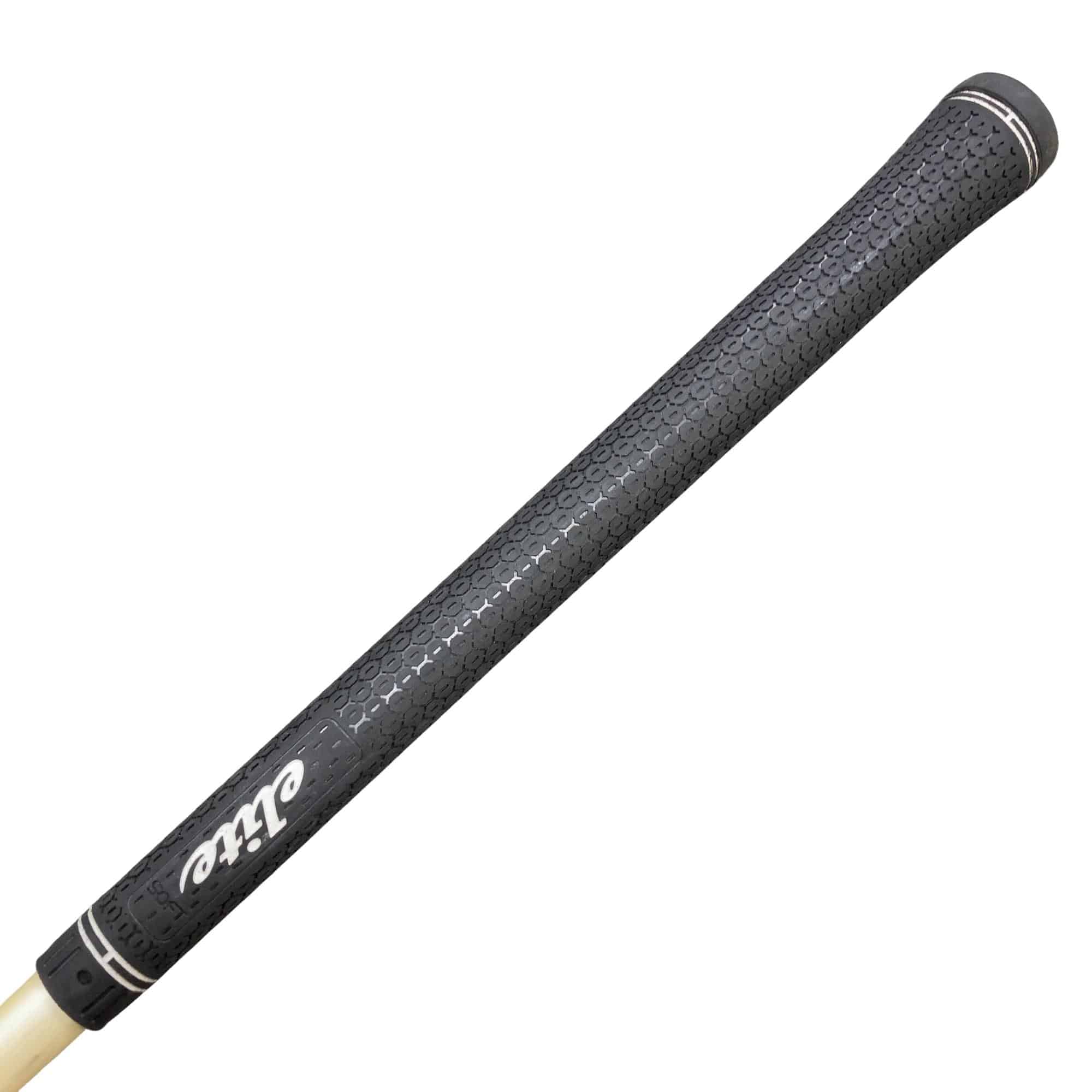 �w�@�g�n�s�@�@�T�v�@�t�r�`