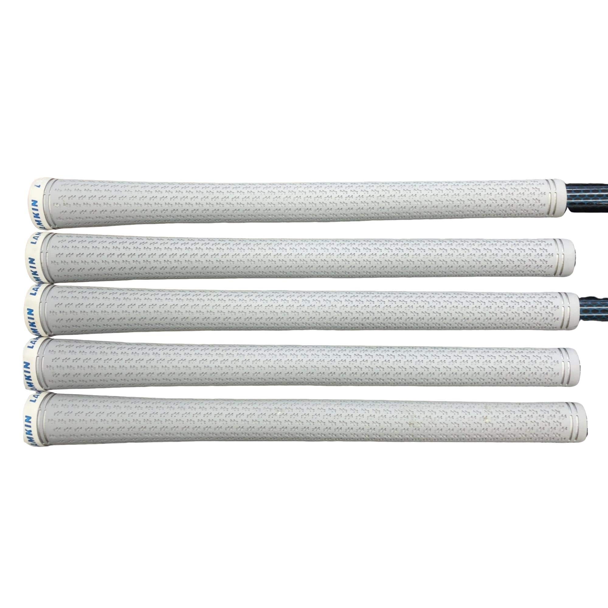 �r�h�l�Q�@�l�`�w�@�@�T�r�@���f�B�[�X�i���{���F�T�{�Z�b�g�j