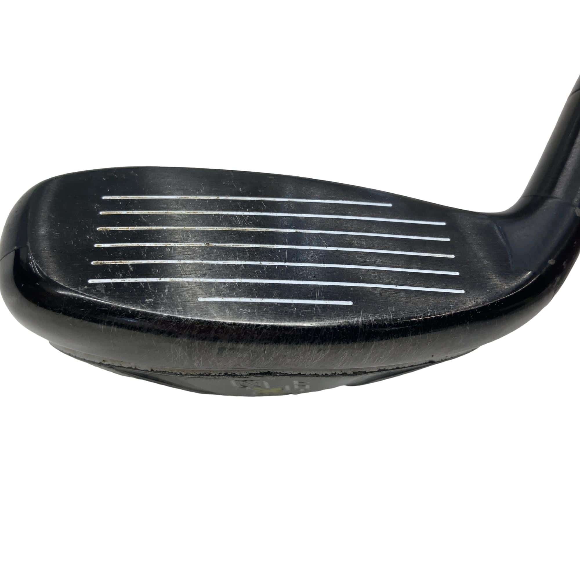 �w�Q�@�g�n�s�@�t�R