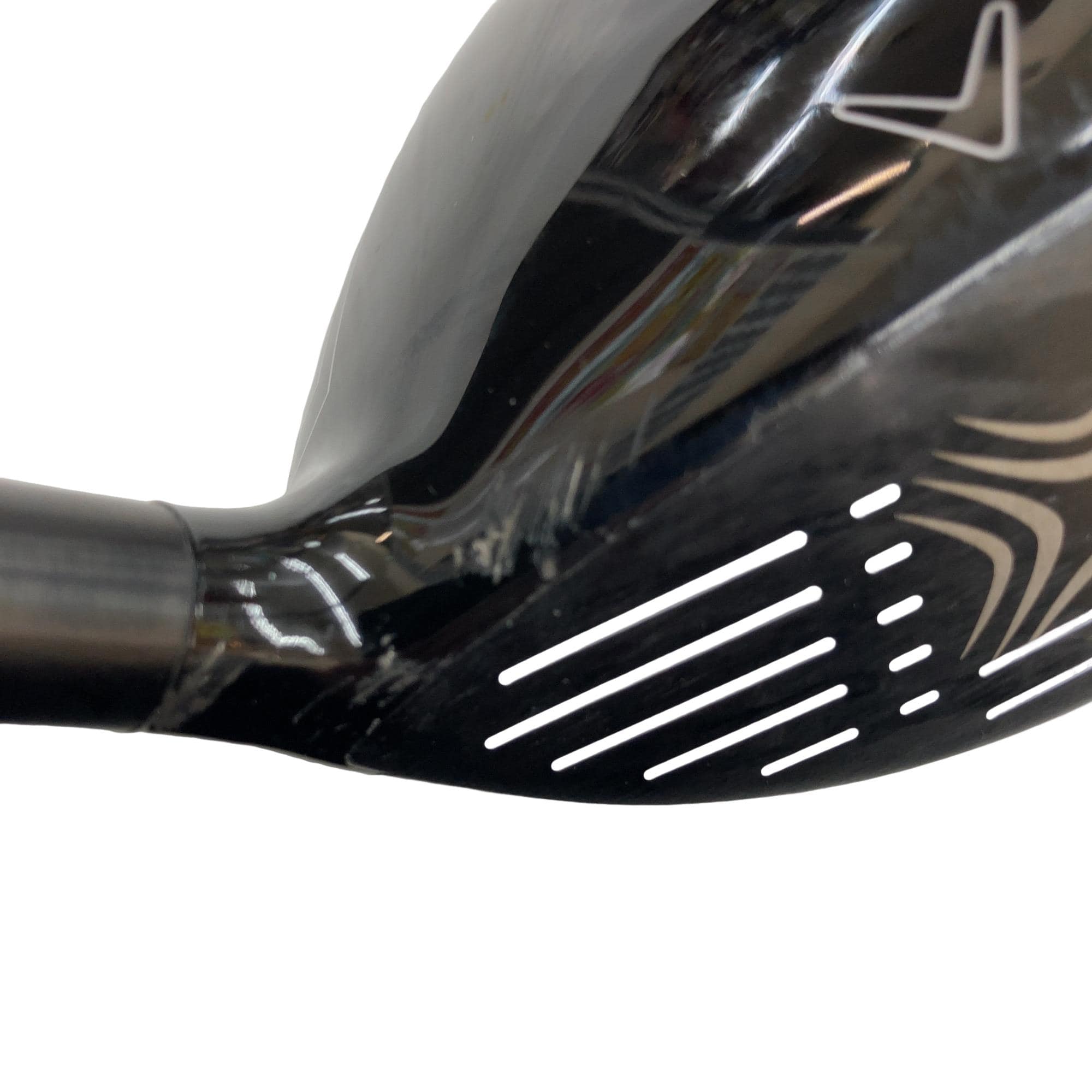 �w�Q�@�g�n�s�@�@�T�v�@���t�e�B