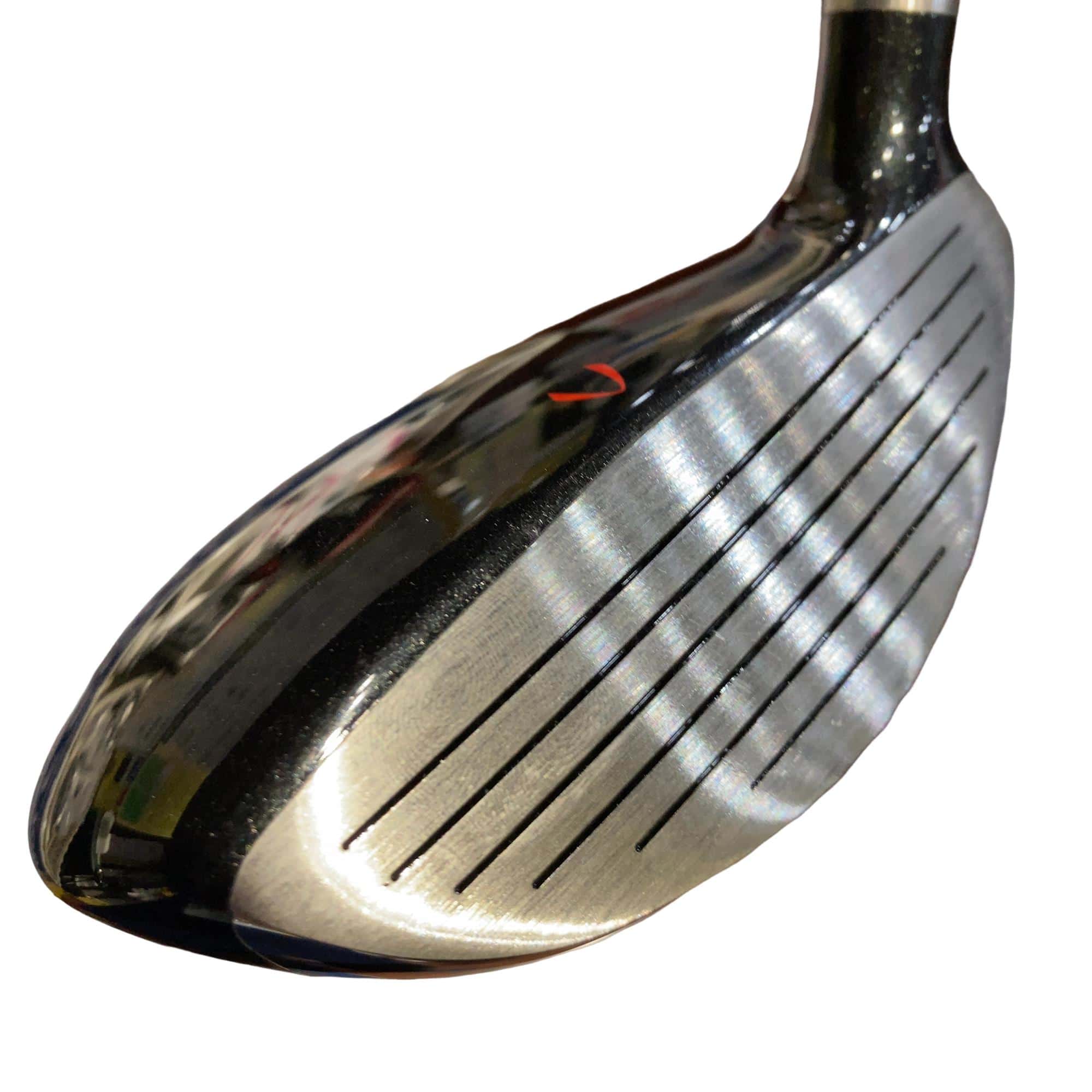 �j�Q�j�@���������O�X���[�e�B���e�B�@�t�T