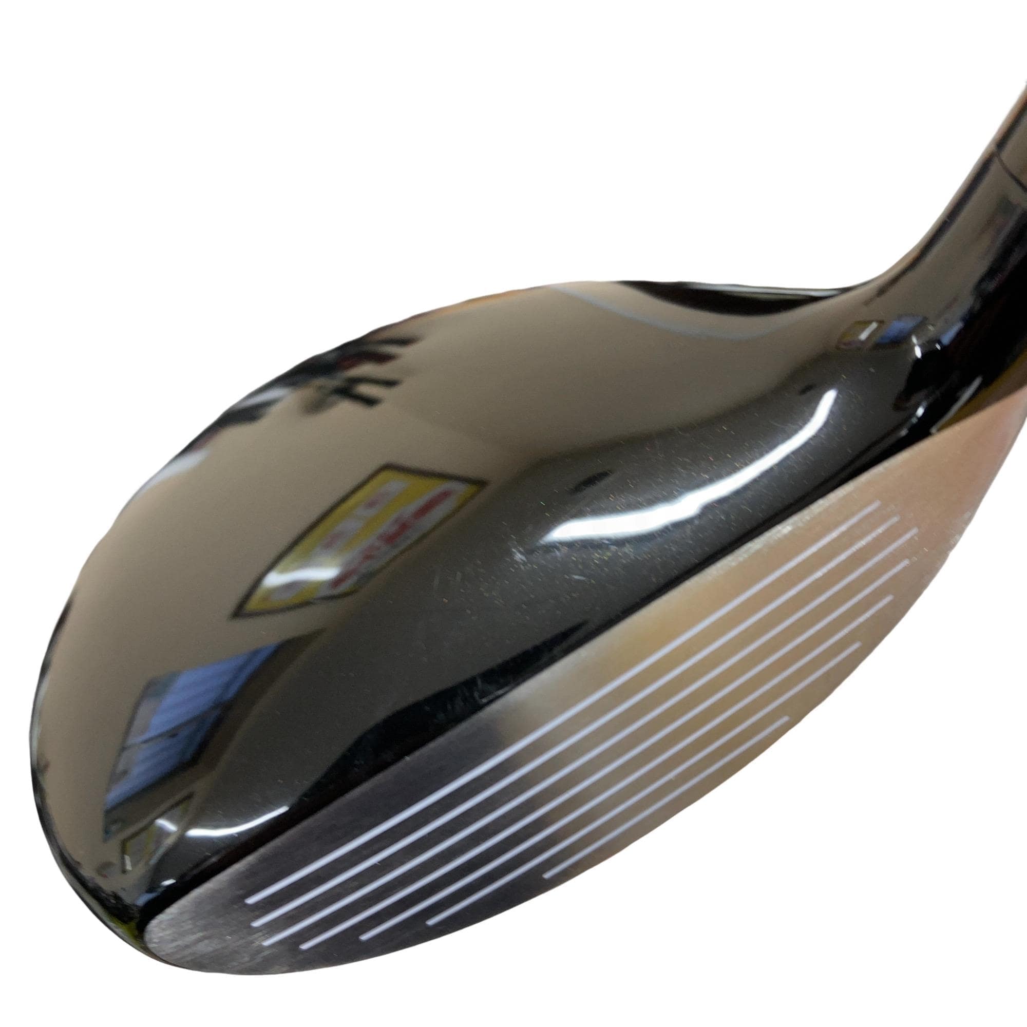 �������������@�q�l�w�@�t�R�{