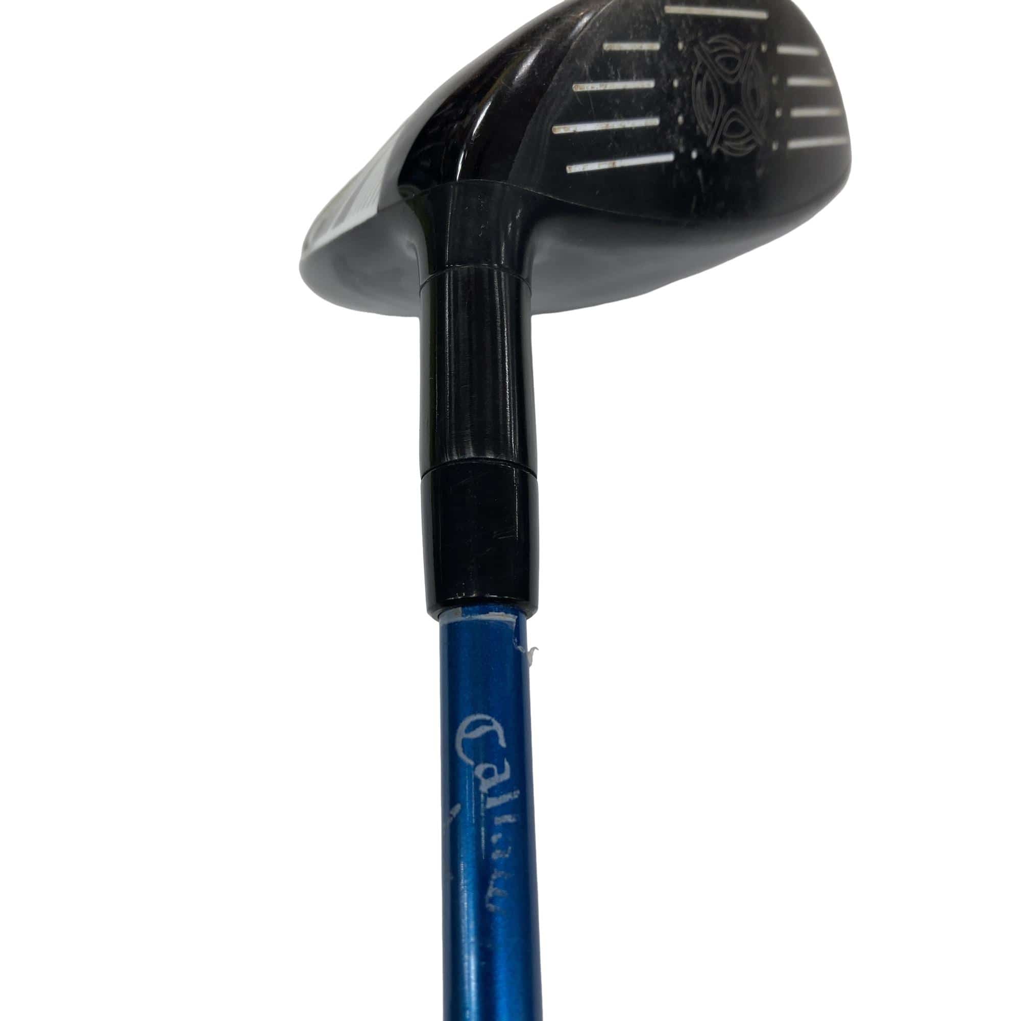 �w�@�g�n�s�@�@�T�v