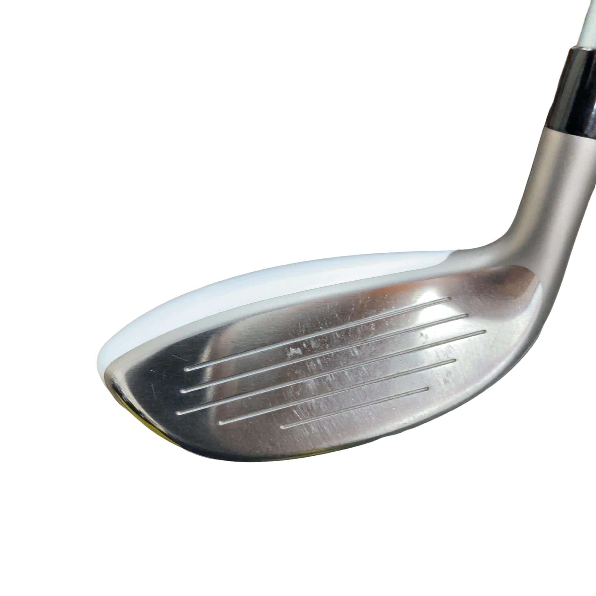 �a�q�|�w�@�t�T�@���f�B�[�X