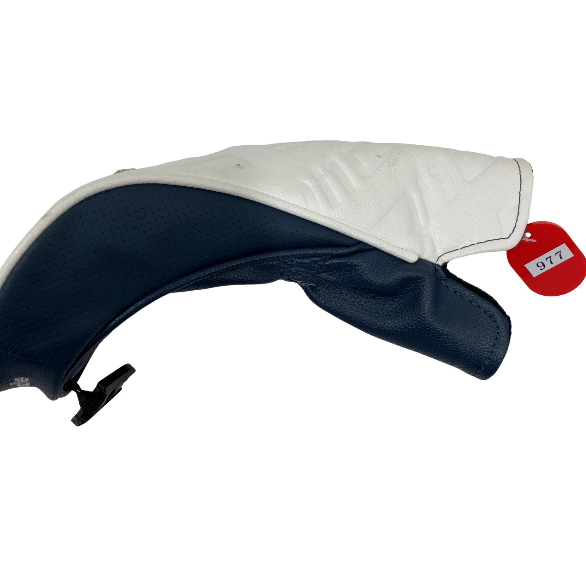 �p���P�O�@�T�v