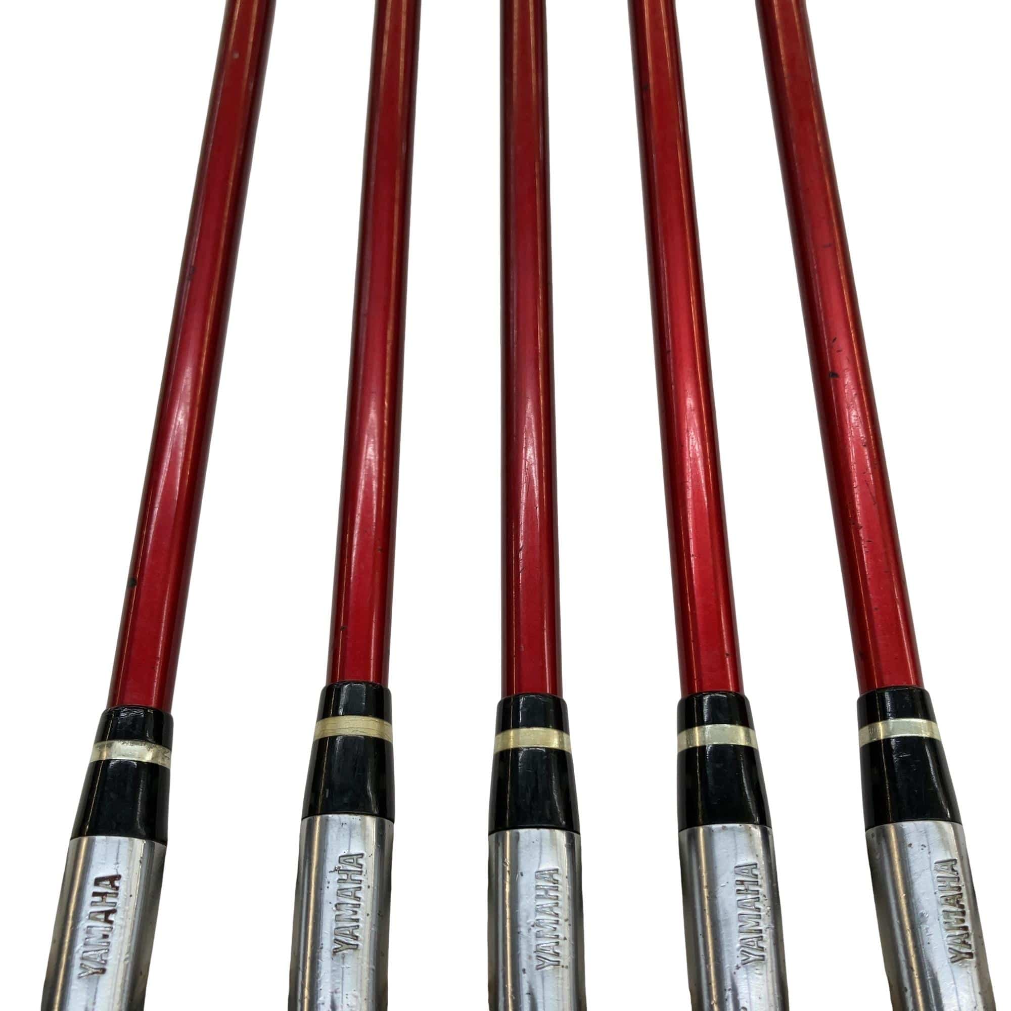 �������������@�q�l�w�@�t�c�{�Q�@�V�r�i���{���F�T�{�Z�b�g�j