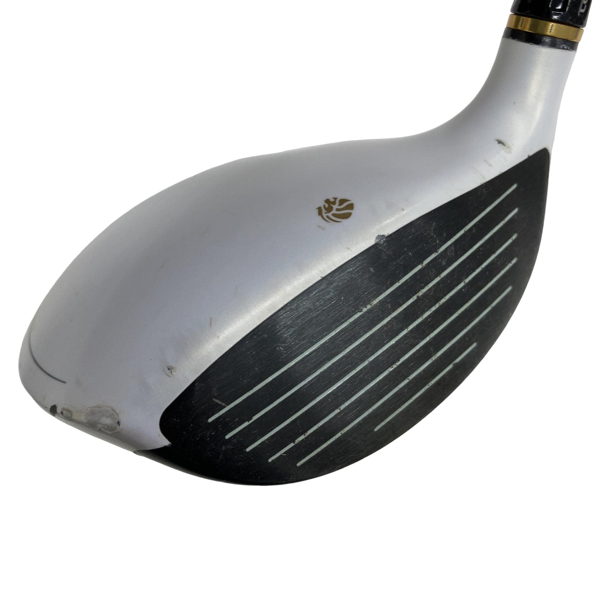 �f�k�n�h�q�d�@�T�v