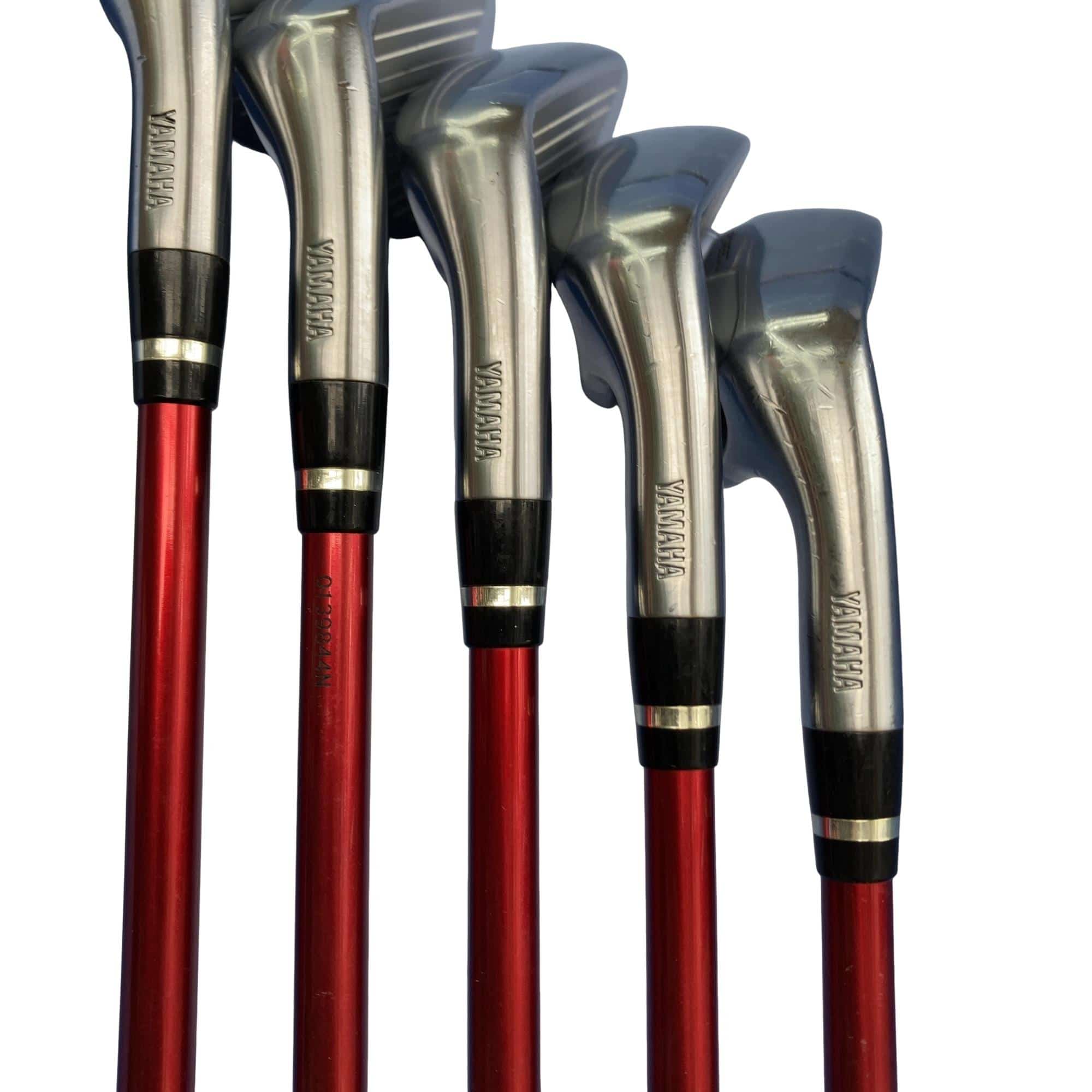 �������������@�q�l�w�@�t�c�{�Q�@�V�r�i���{���F�T�{�Z�b�g�j