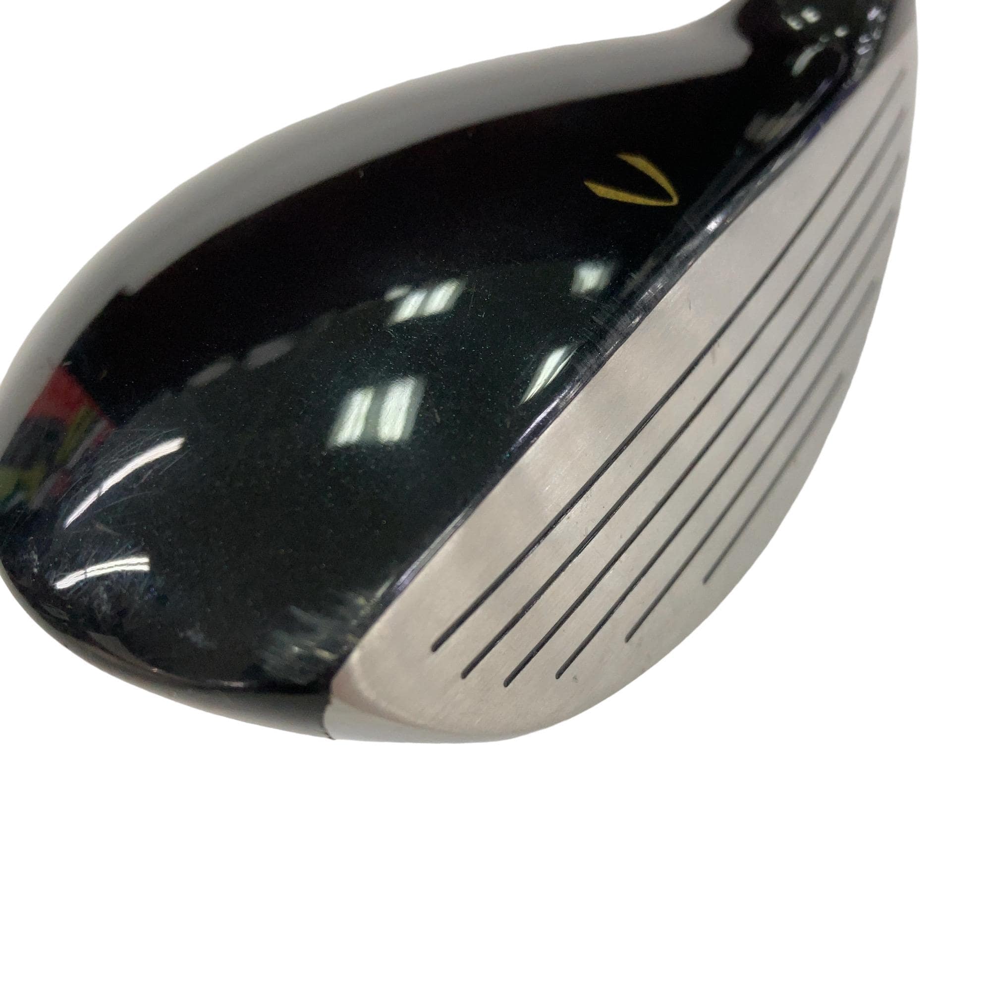 �j�Q�j�@���������O�X���[�e�B���e�B�@�t�T