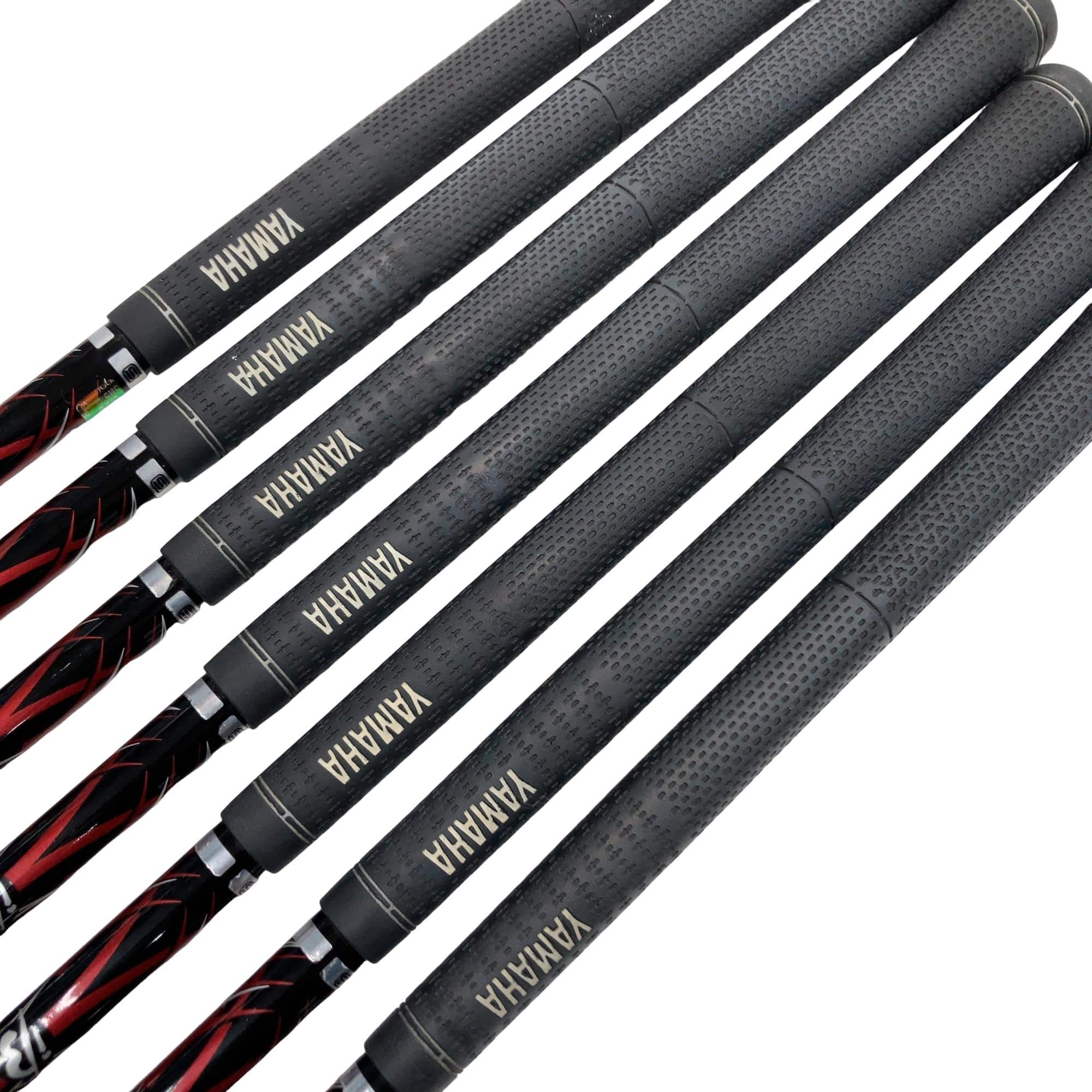 �������������@�q�l�w�@�t�c�{�Q�@�V�r�i���{���F�V�{�Z�b�g�j