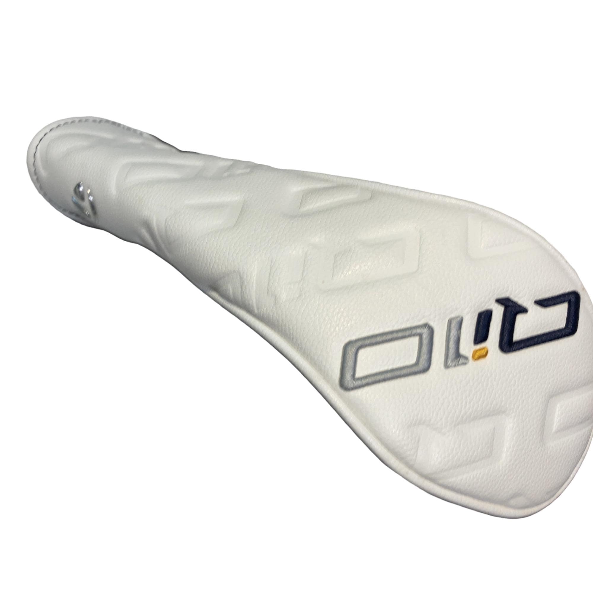 �p���P�O�@�T�v