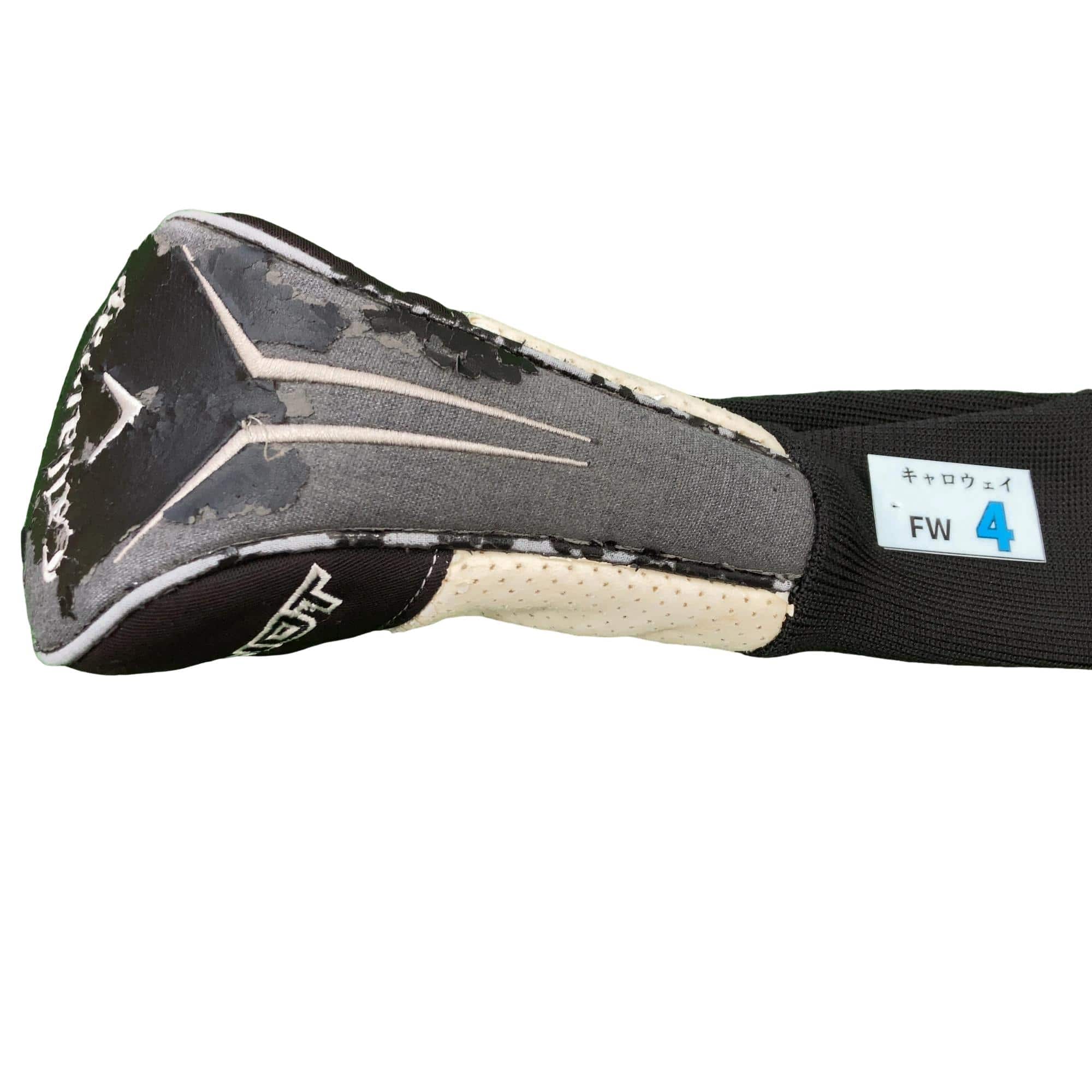 �w�@�g�n�s�@�@�R�v