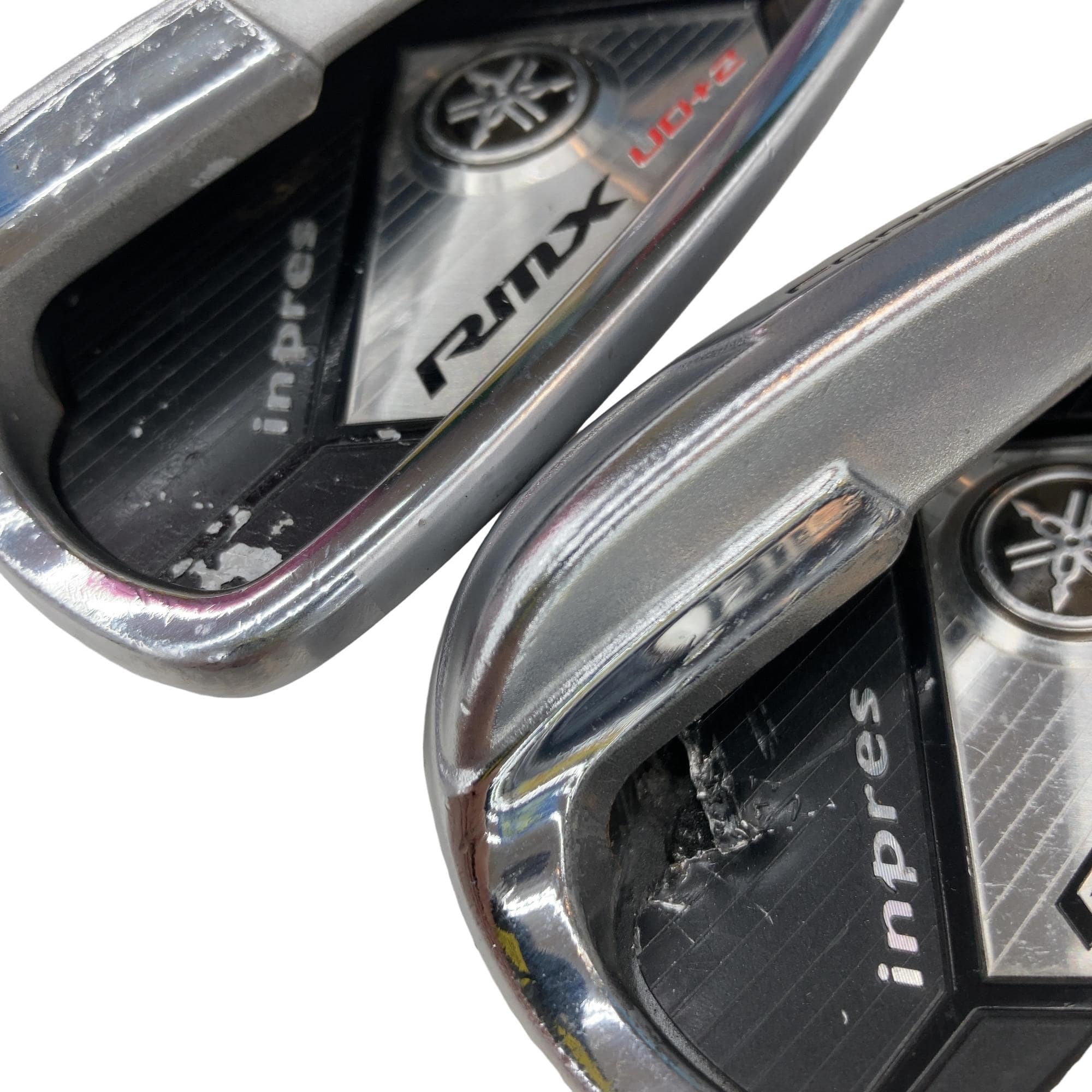 �������������@�q�l�w�@�t�c�{�Q�@�S�r�i���{���F�S�{�Z�b�g�j