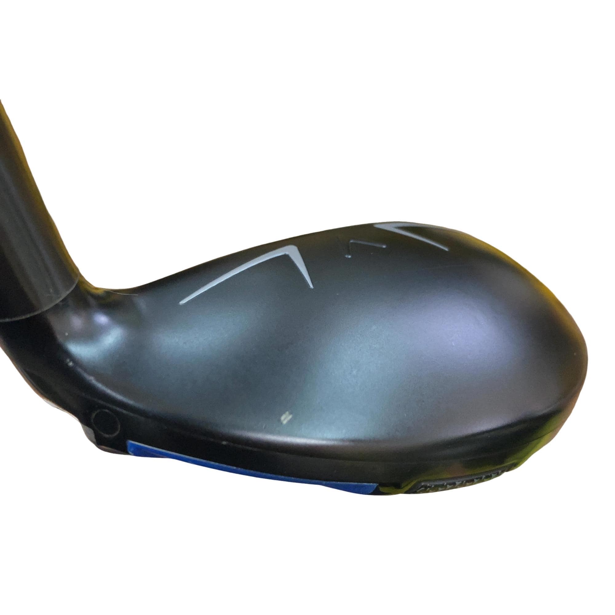 �w�q�@�t�T�@���f�B�[�X