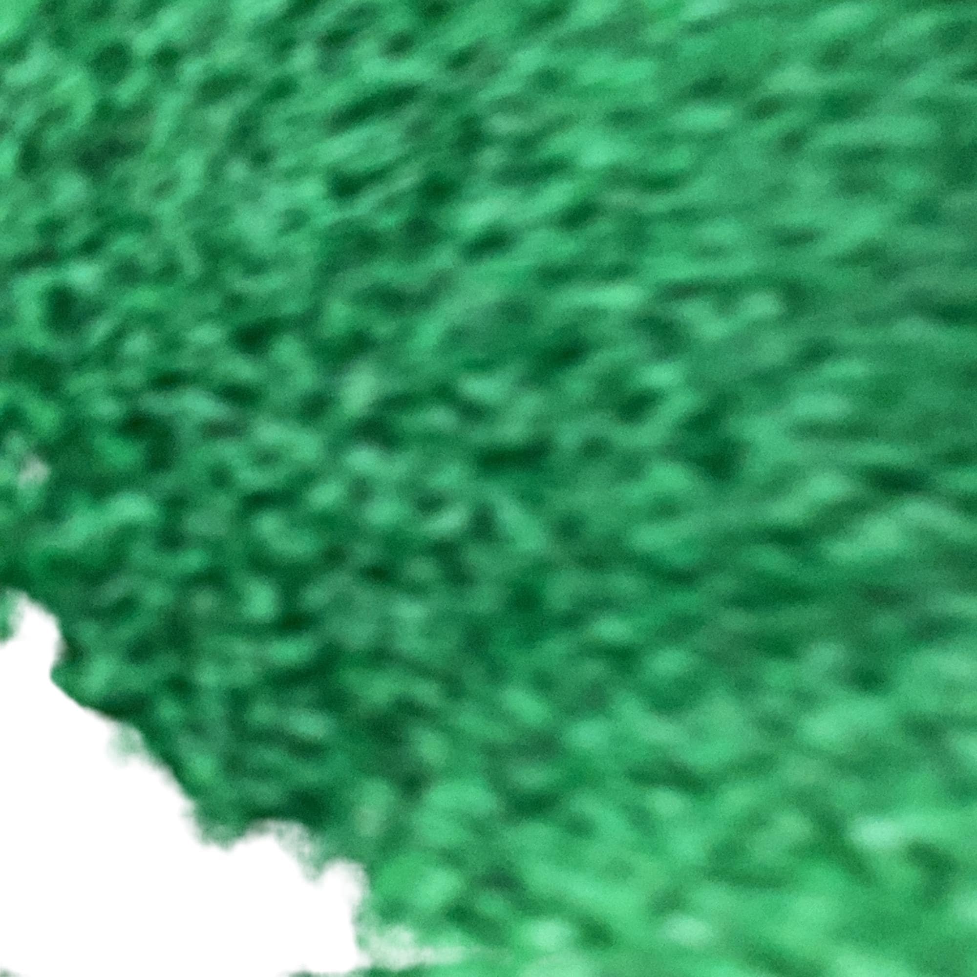 �`�d�q�n�@�a�t�q�m�d�q�@�@�X�D�T°�@�t�r�`